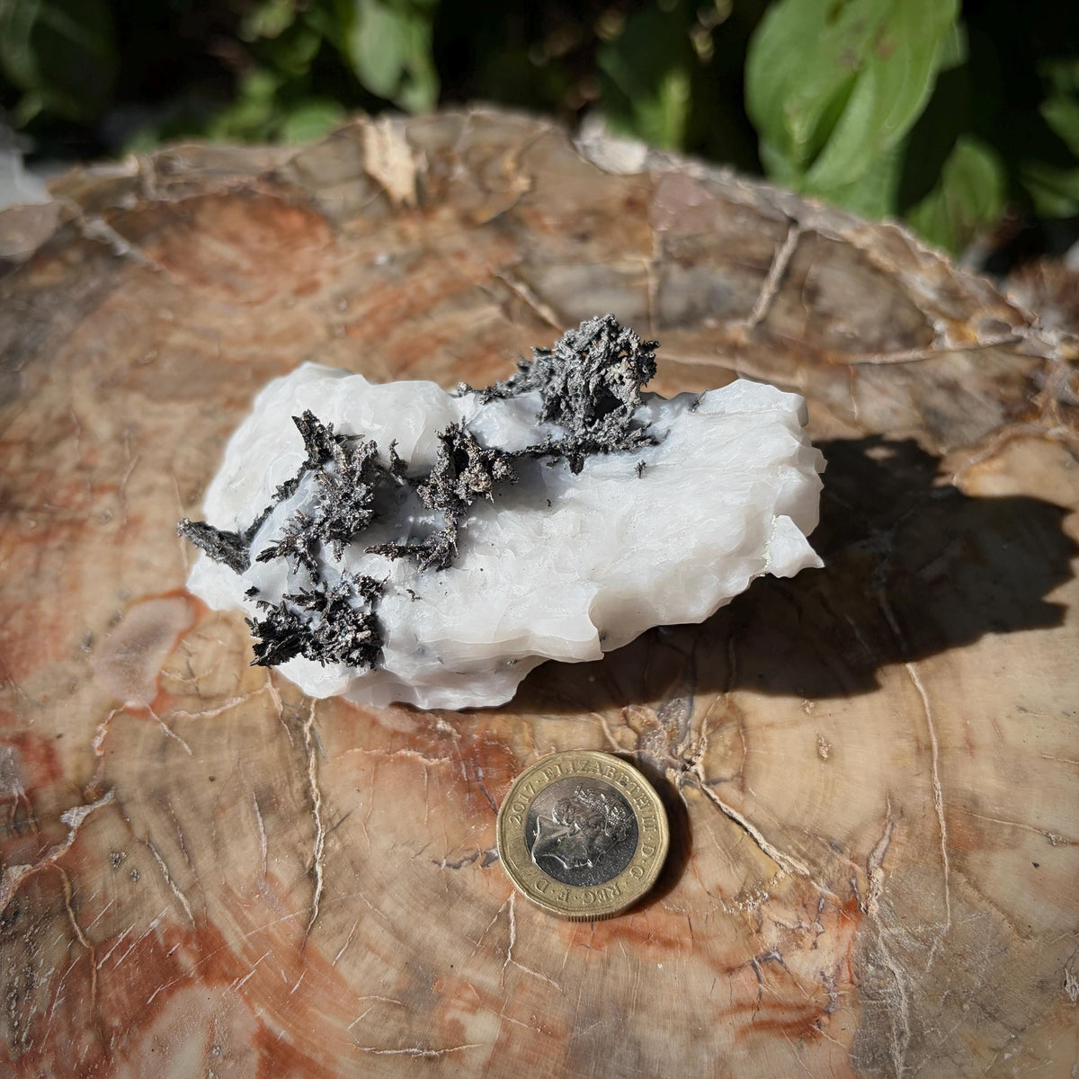 Native Silver collector mineral specimen from Morocco