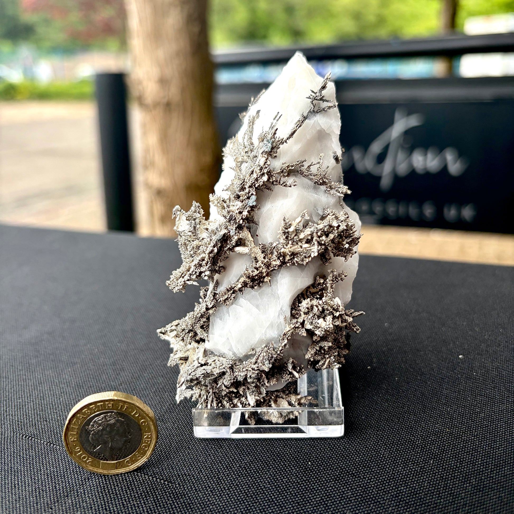 Crystalline Native Silver branching across a white crystalline calcite matrix next to a pound coin.