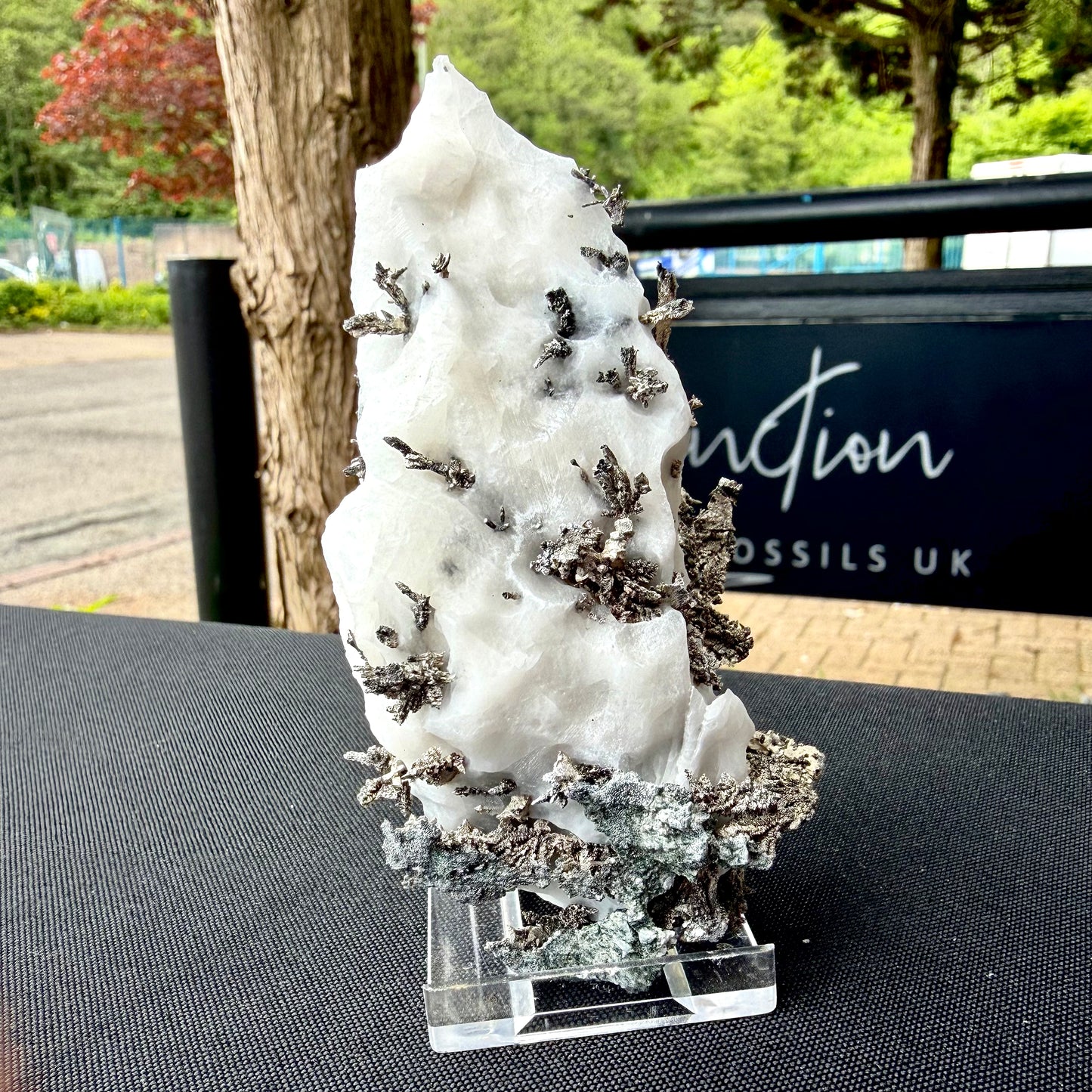 Back view of a premium Native Silver showpiece highlighting its sculptural depth and natural reflectivity.