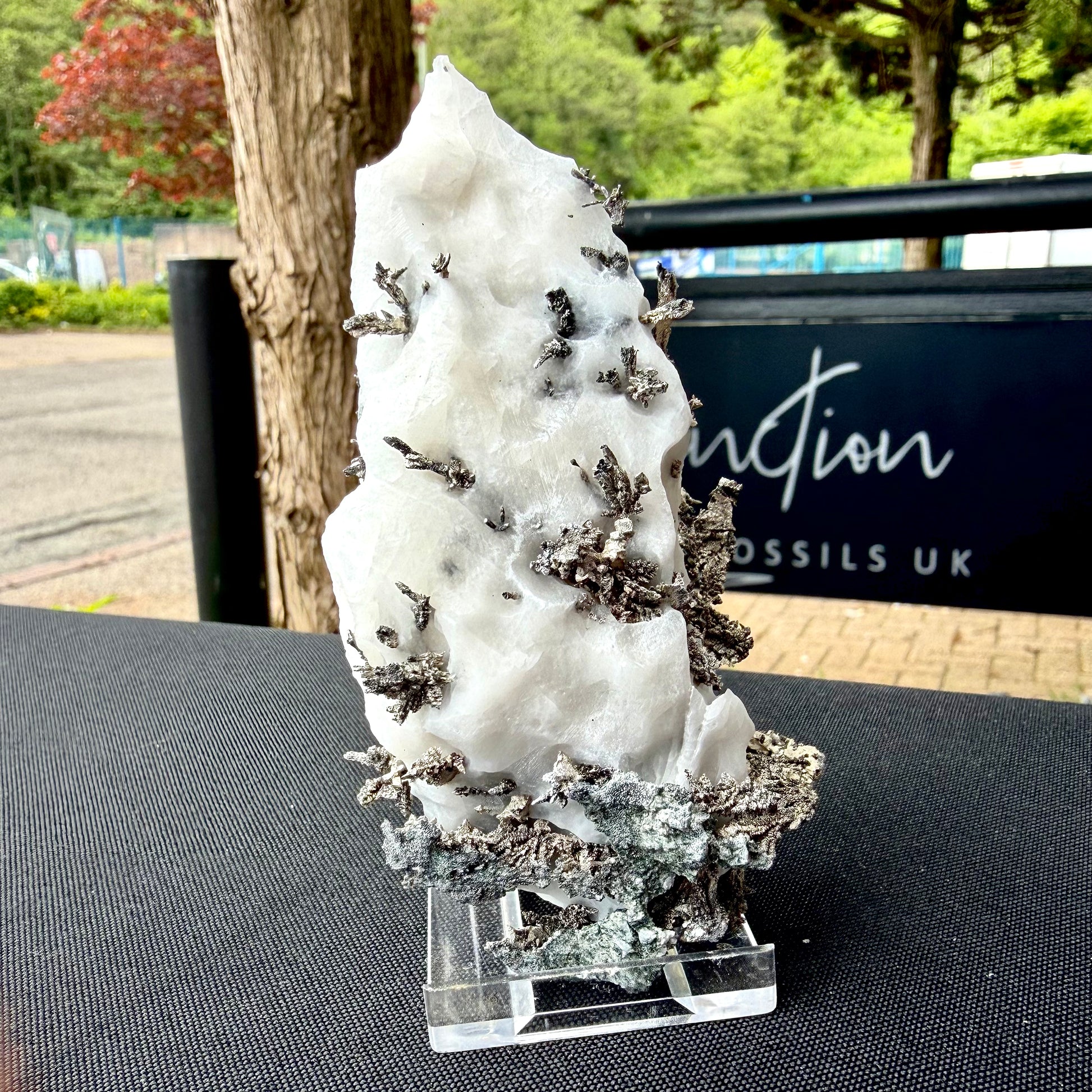 Back view of a premium Native Silver showpiece highlighting its sculptural depth and natural reflectivity.