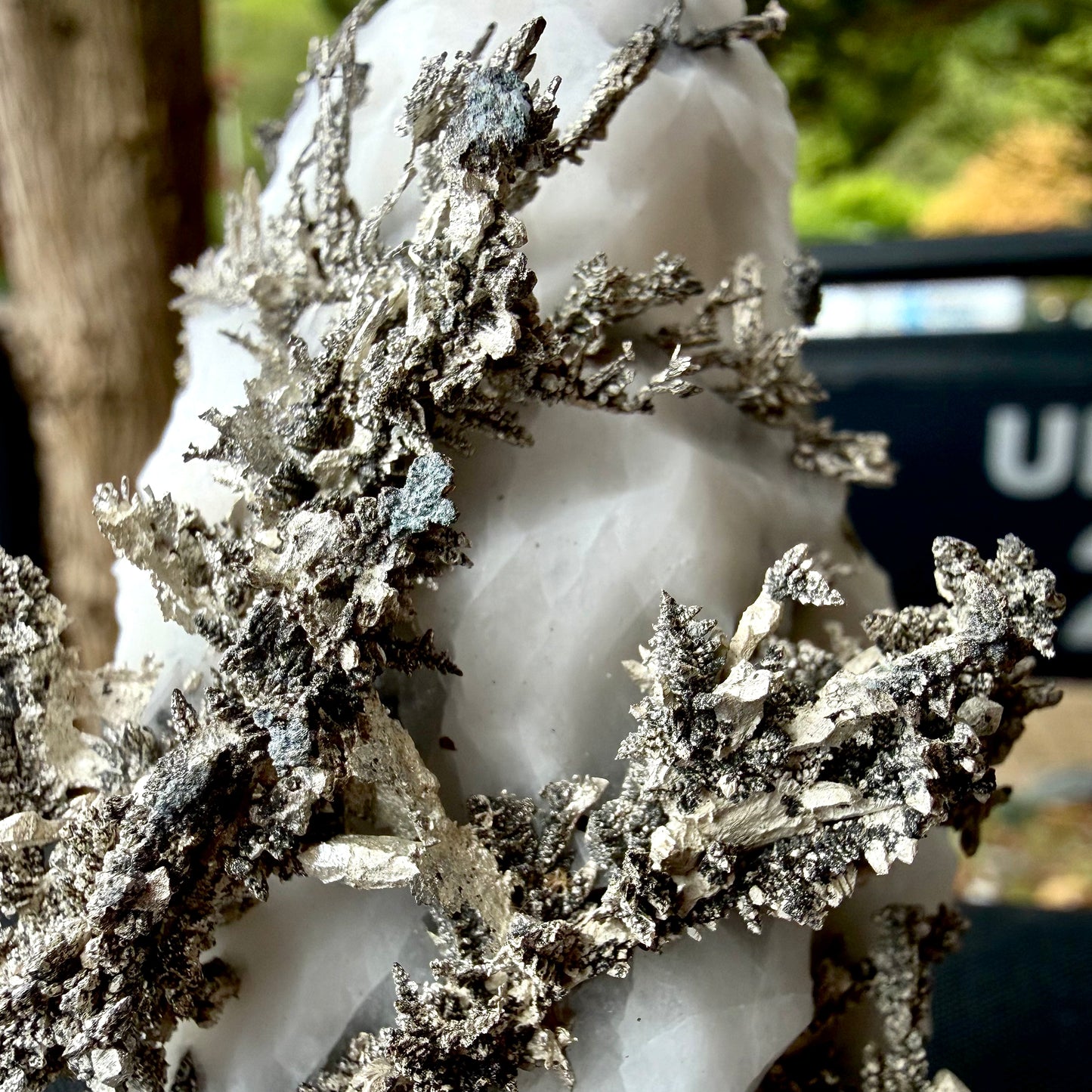 Close-up of the delicate, bright metallic silver filigree and crystalline growth on matrix.