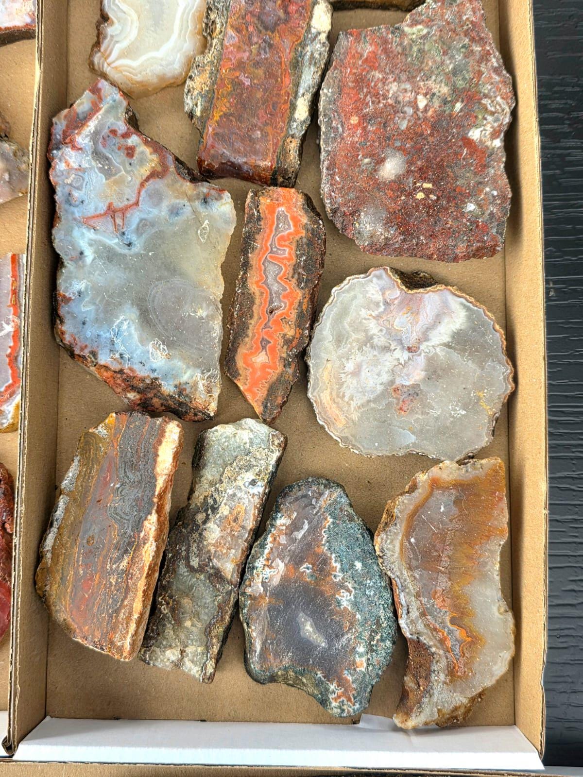 Tray of agate slices natural banded stone lapidary