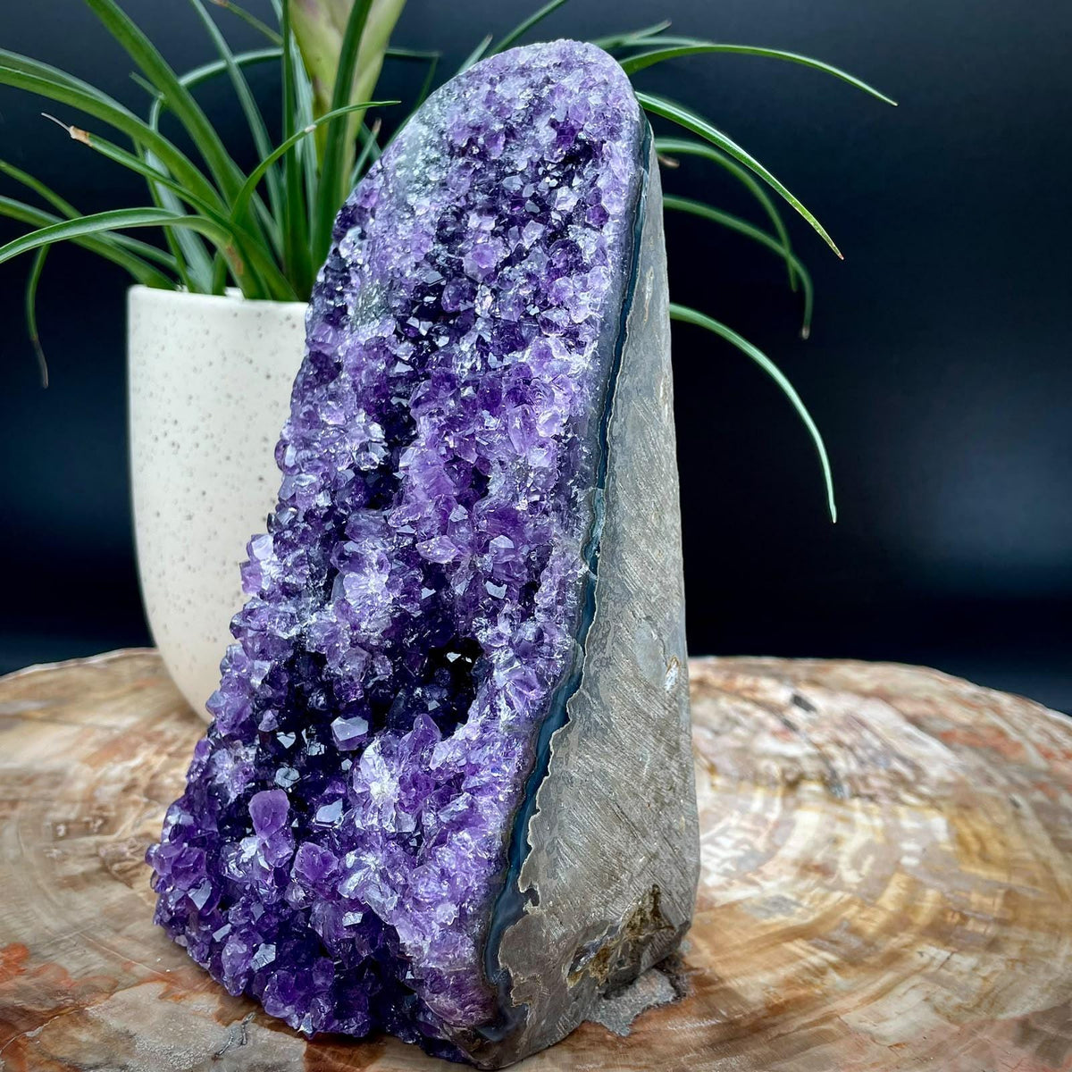 Natural Amethyst crystal formation