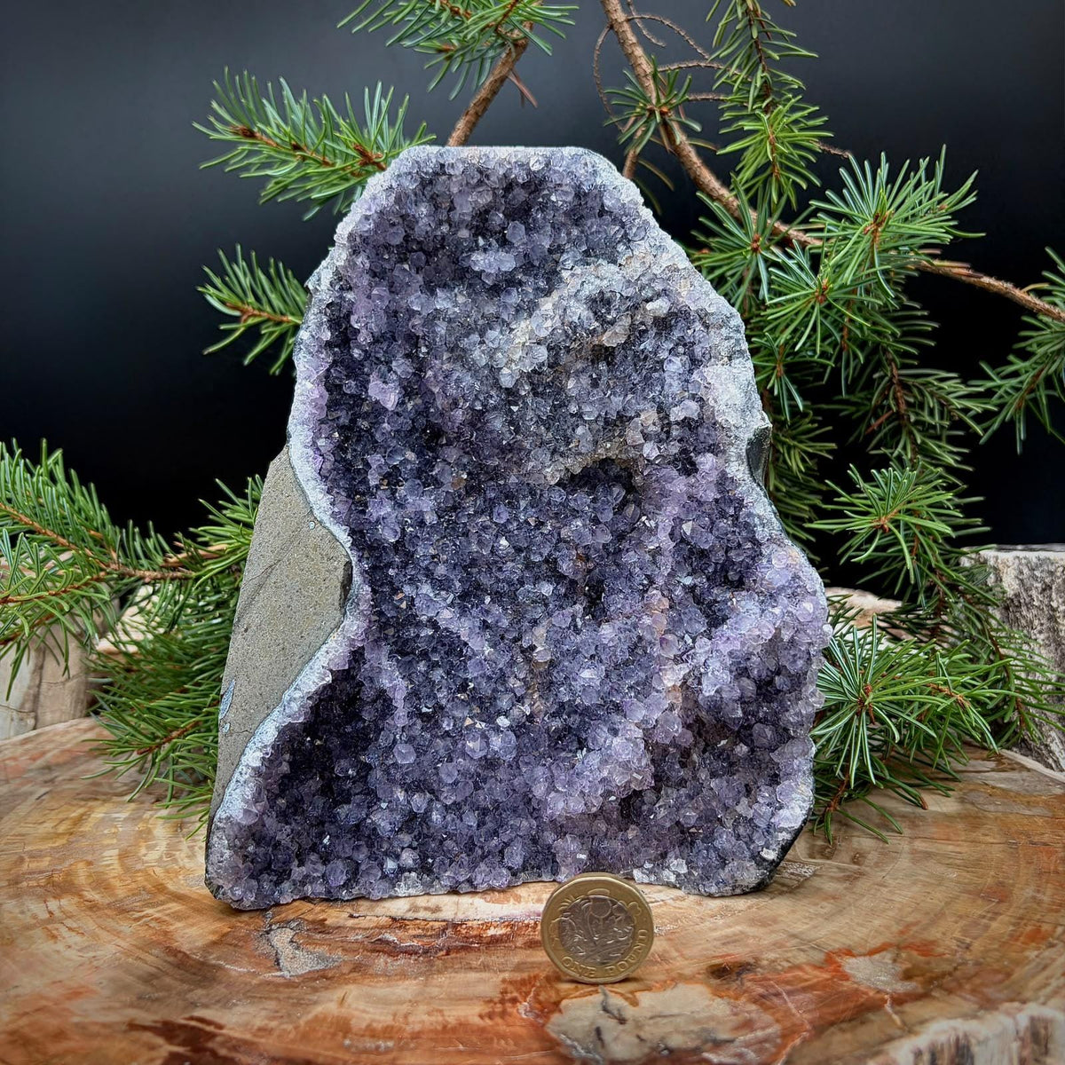 Natural Brazilian Amethyst crystal geode