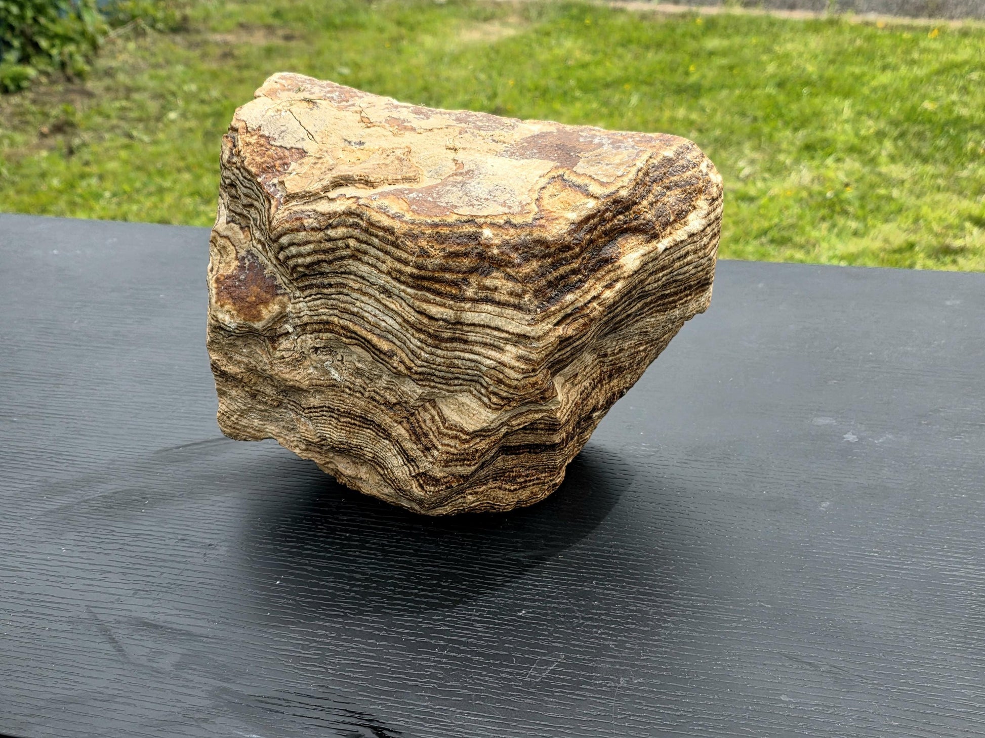 Organic aragonite crystal perfect for modern interiors or luxe natural displays.