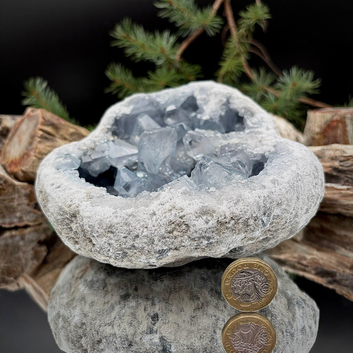 Close-up of naturally formed Celestite crystals showing variations in crystal size and blue-grey colouring.
