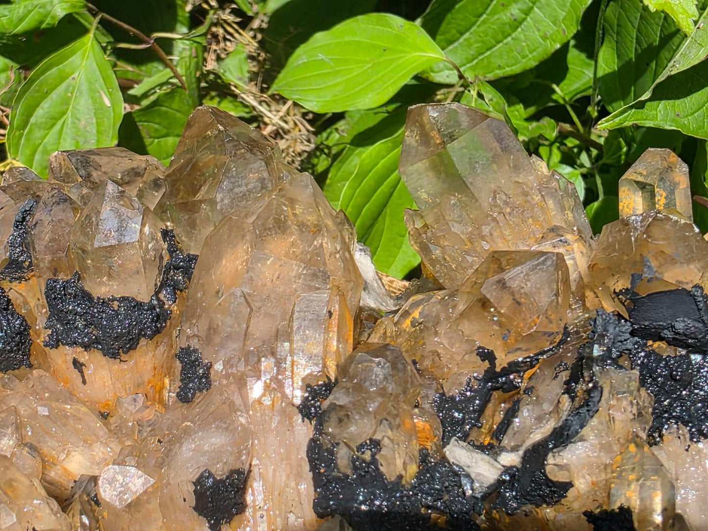 Natural Citrine collector specimen with strong visual impact and one of a kind formation