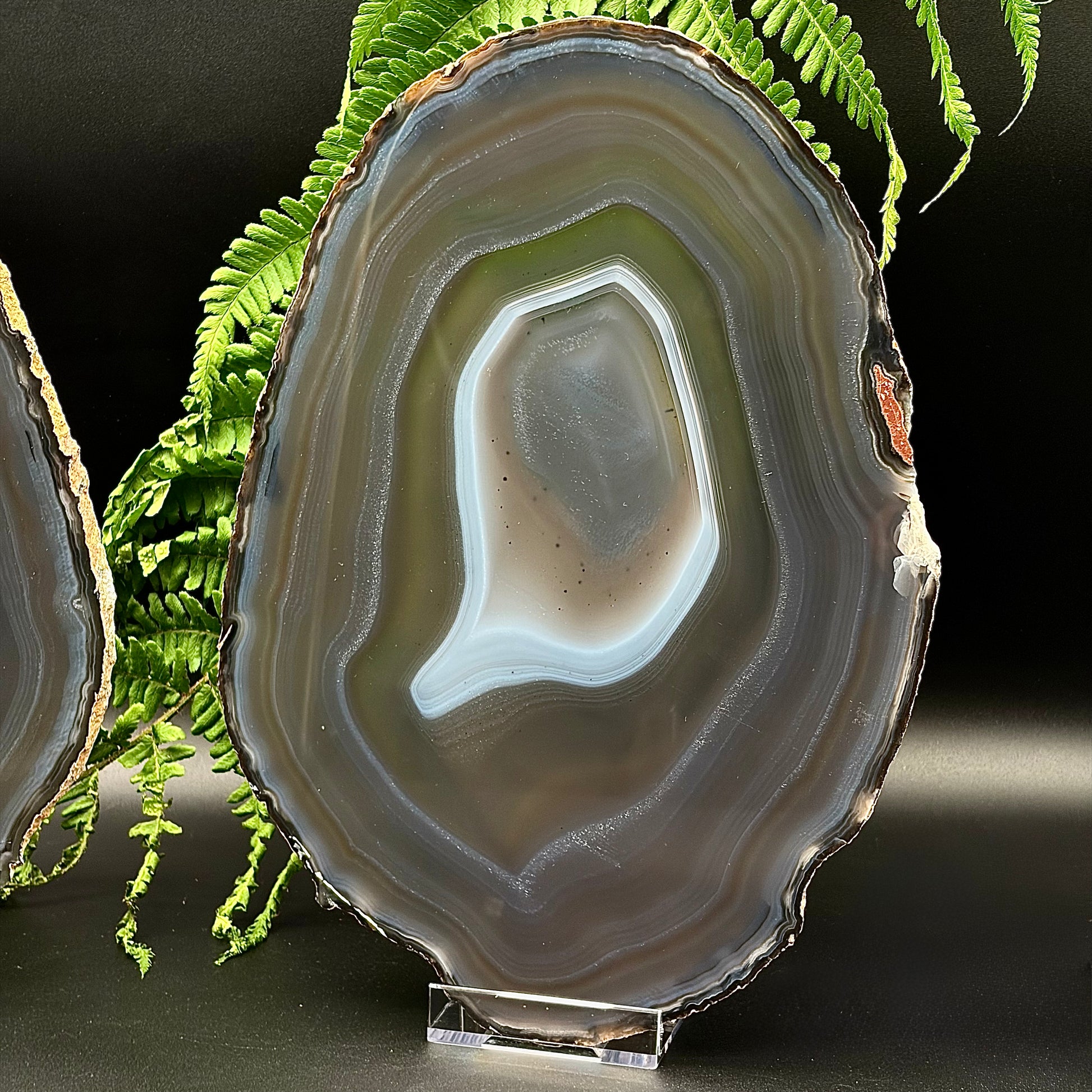 Close-up of the shimmering centre and fine banding of a thin agate slice.