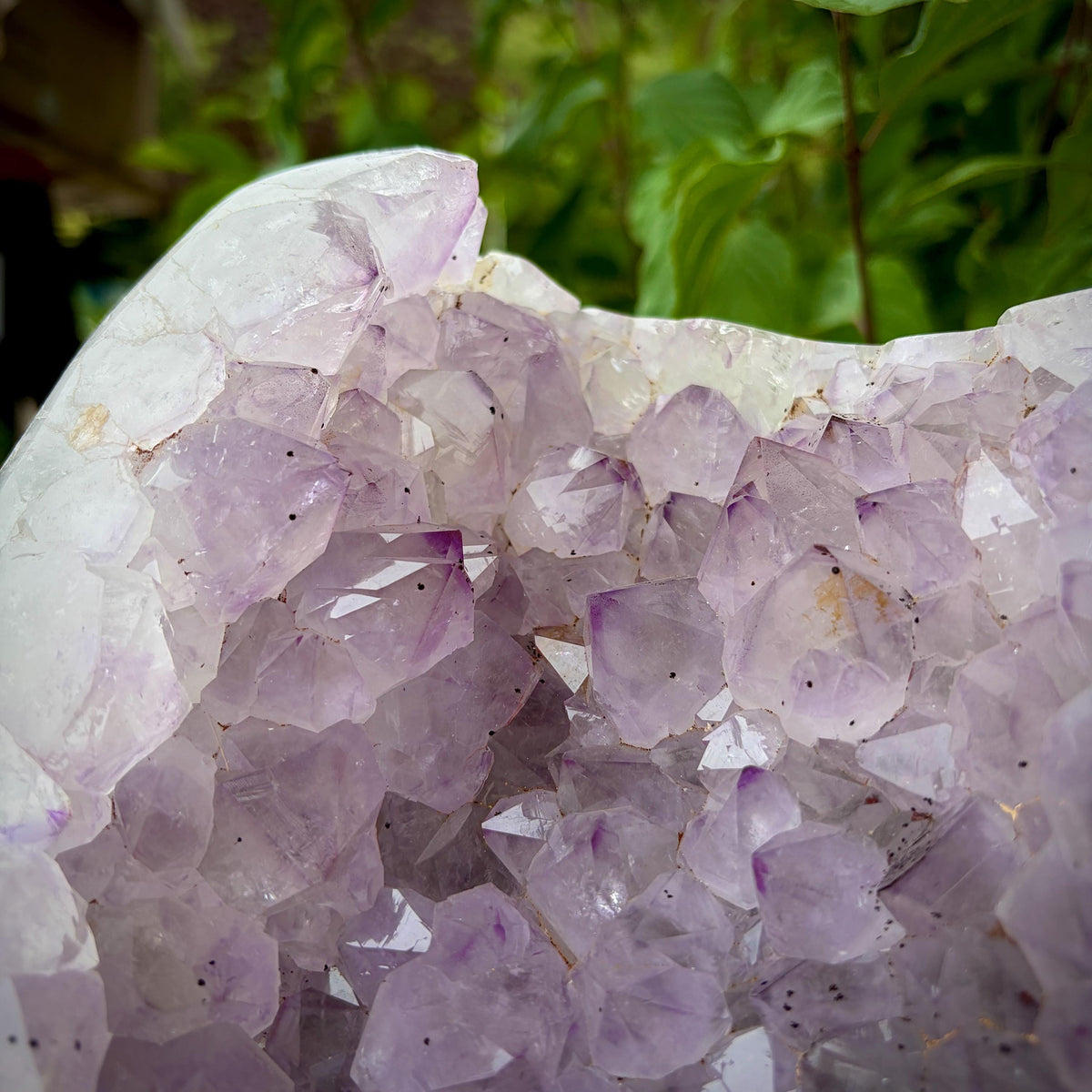 Natural Amethyst crystal geode for decorative display