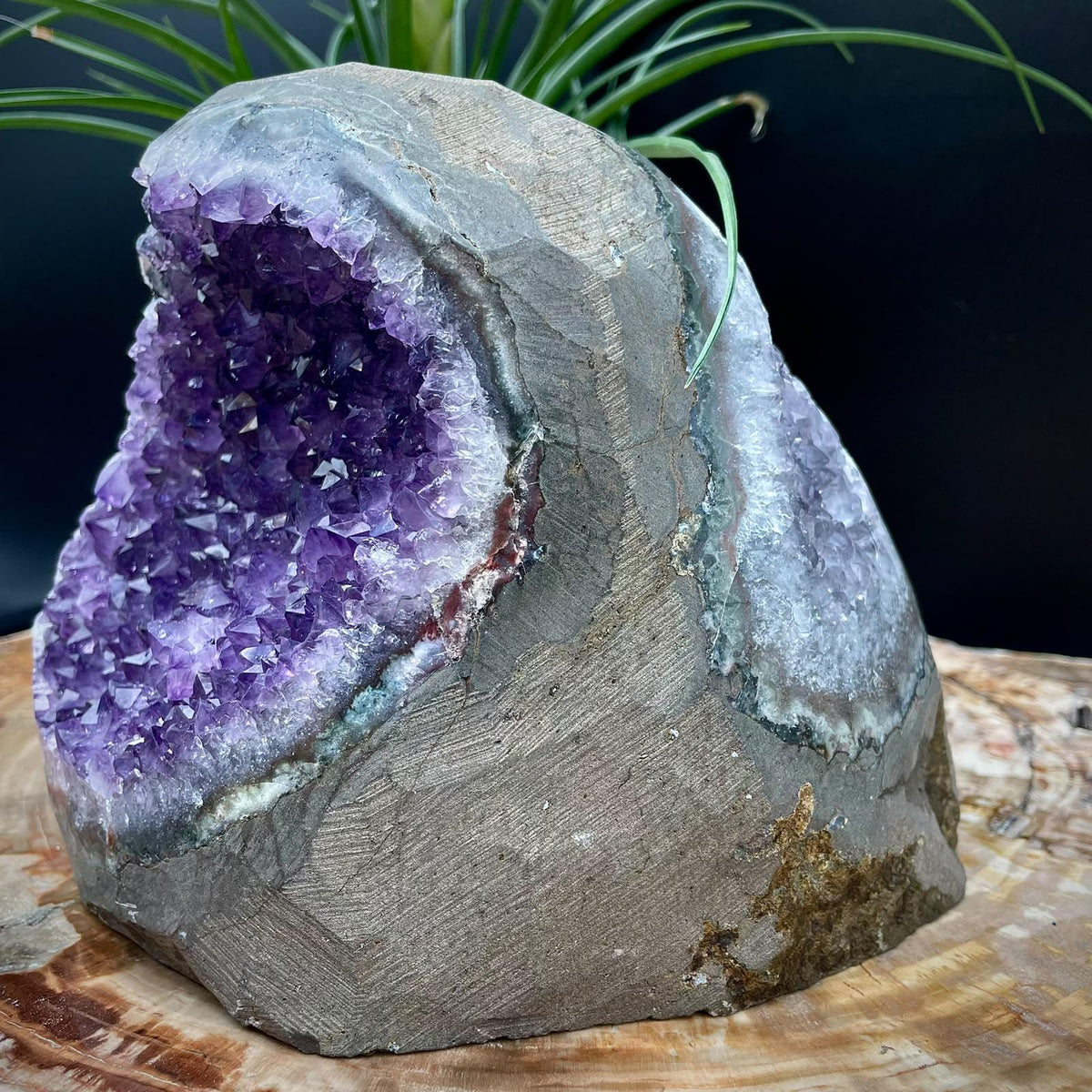Natural Amethyst statement crystal decor