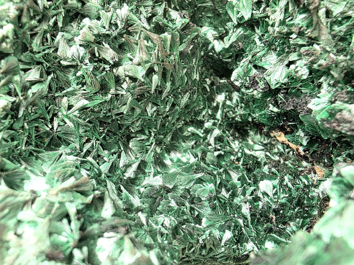 Natural Flower Malachite stone with glossy finish and unique texture