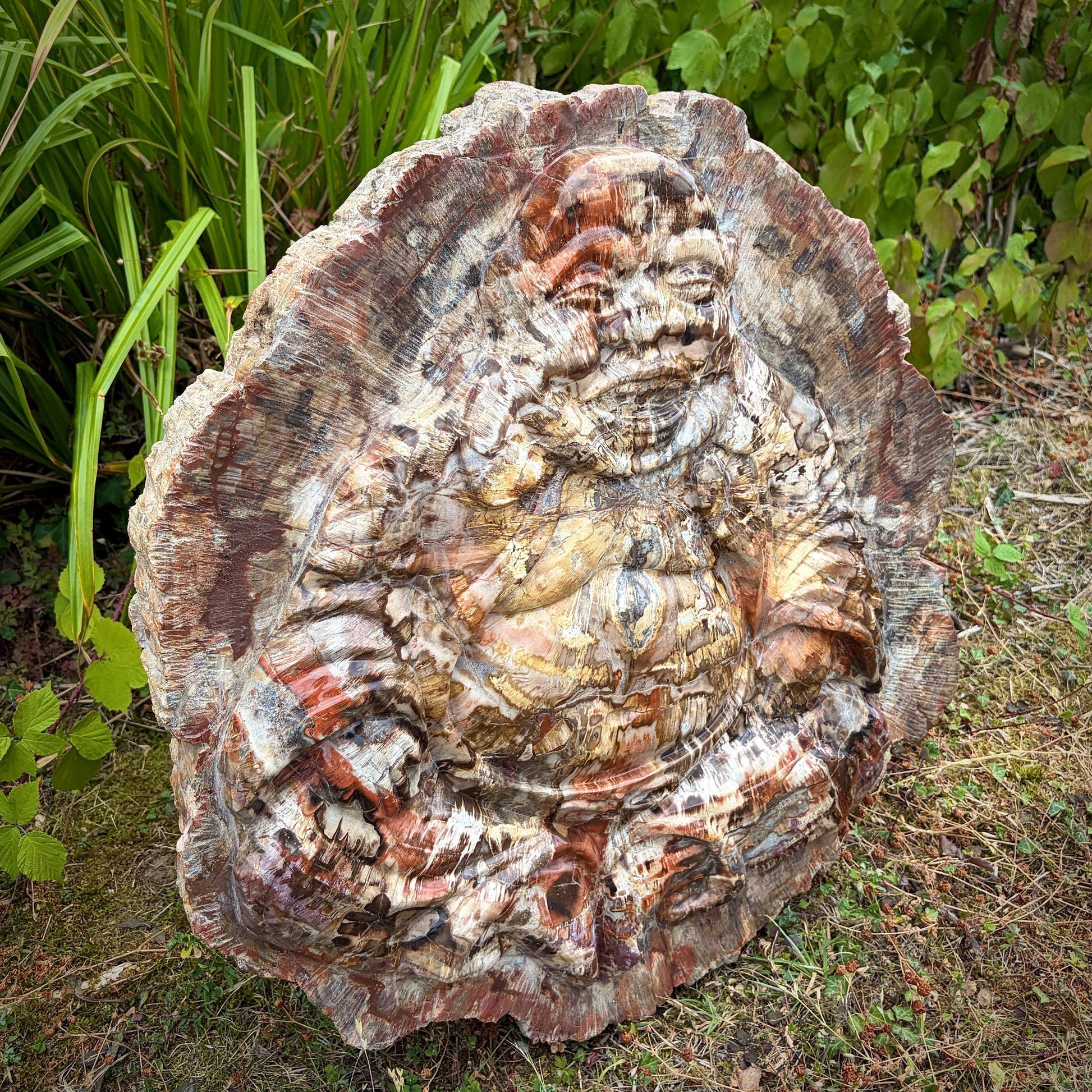 Statement fossil wood Laughing Buddha display piece weighing 52.6kg