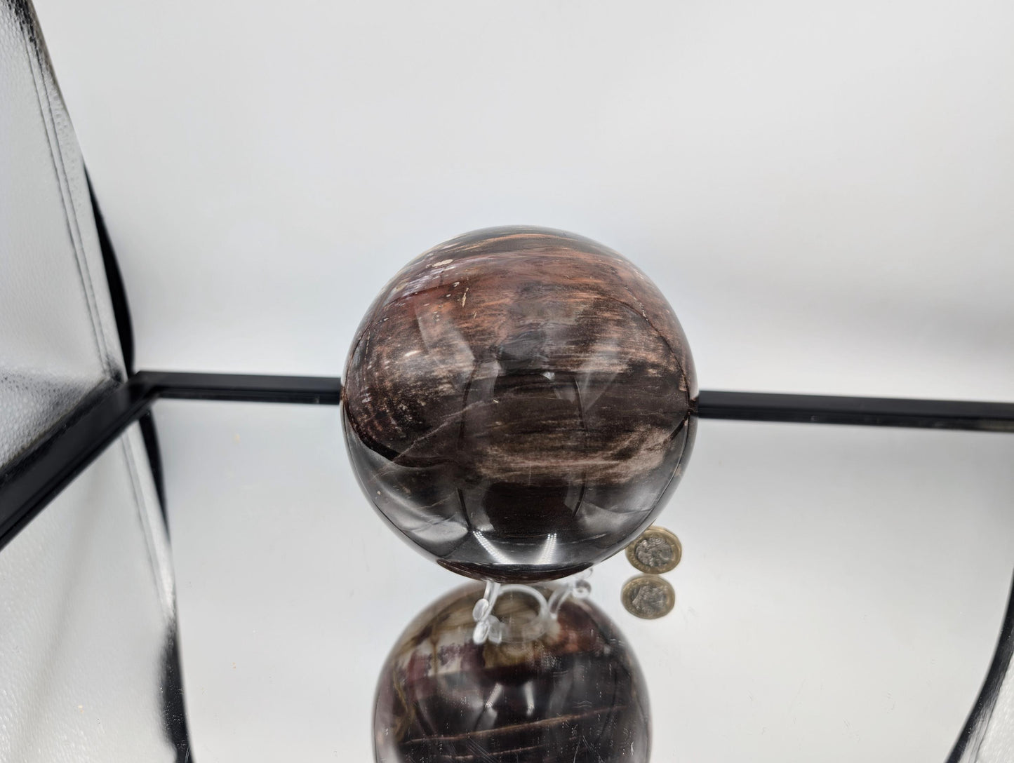 Natural Madagascar Fossil Wood crystal sphere