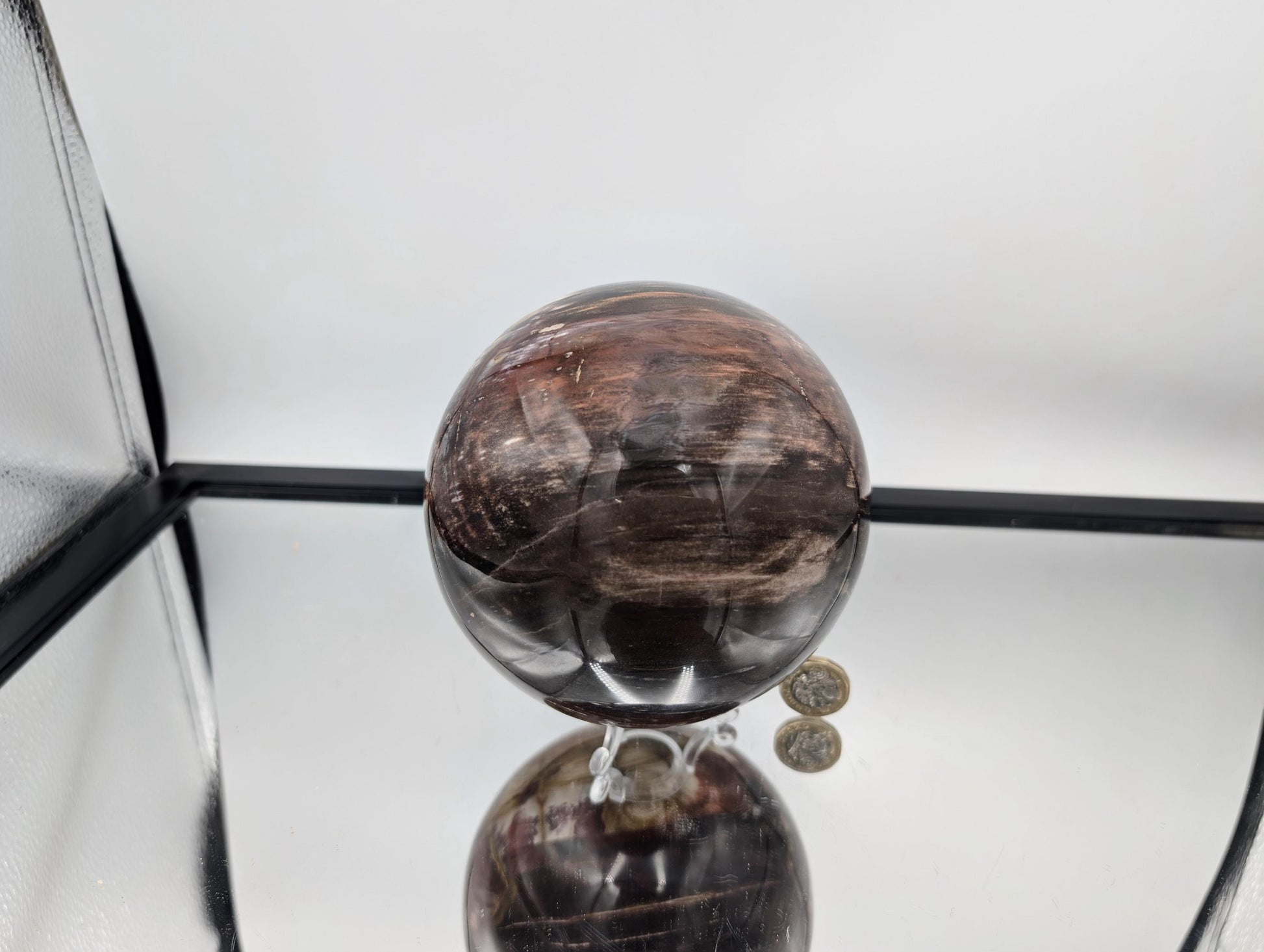 Natural Madagascar Fossil Wood crystal sphere