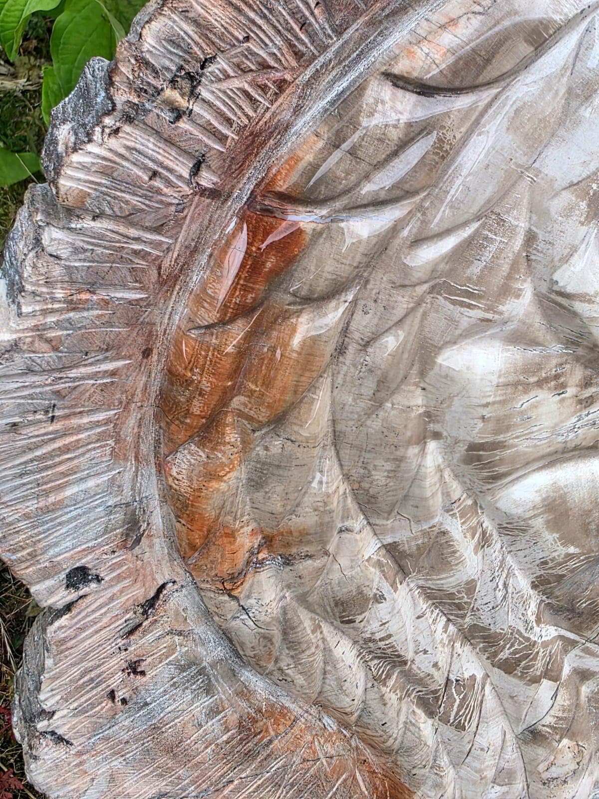 Large petrified wood snake display piece
