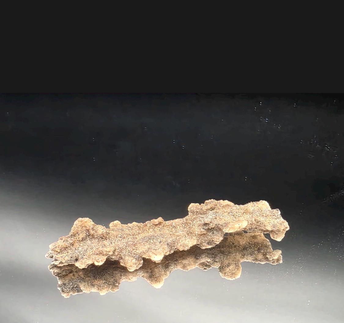 Natural Algerian Fulgurite specimen selected for mineral and geology collectors.