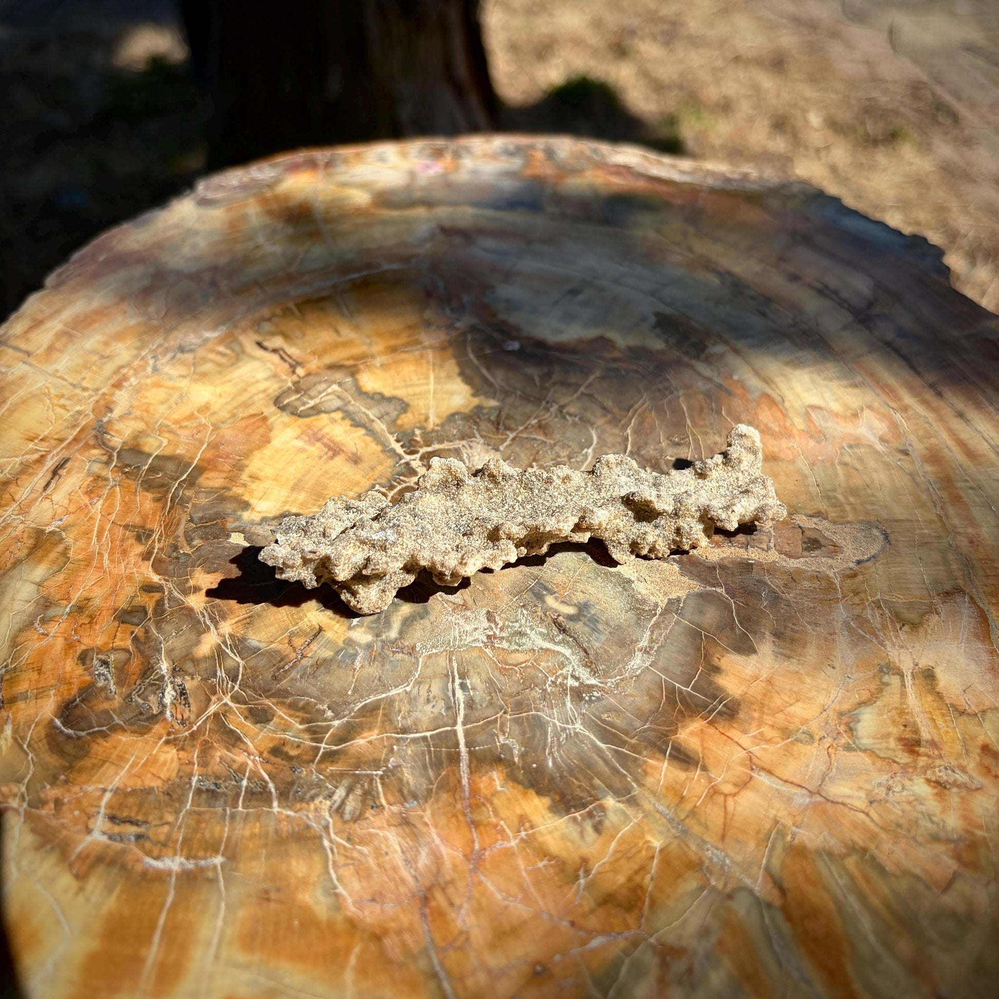 Side view of a natural collector Fulgurite showing its individual formation.