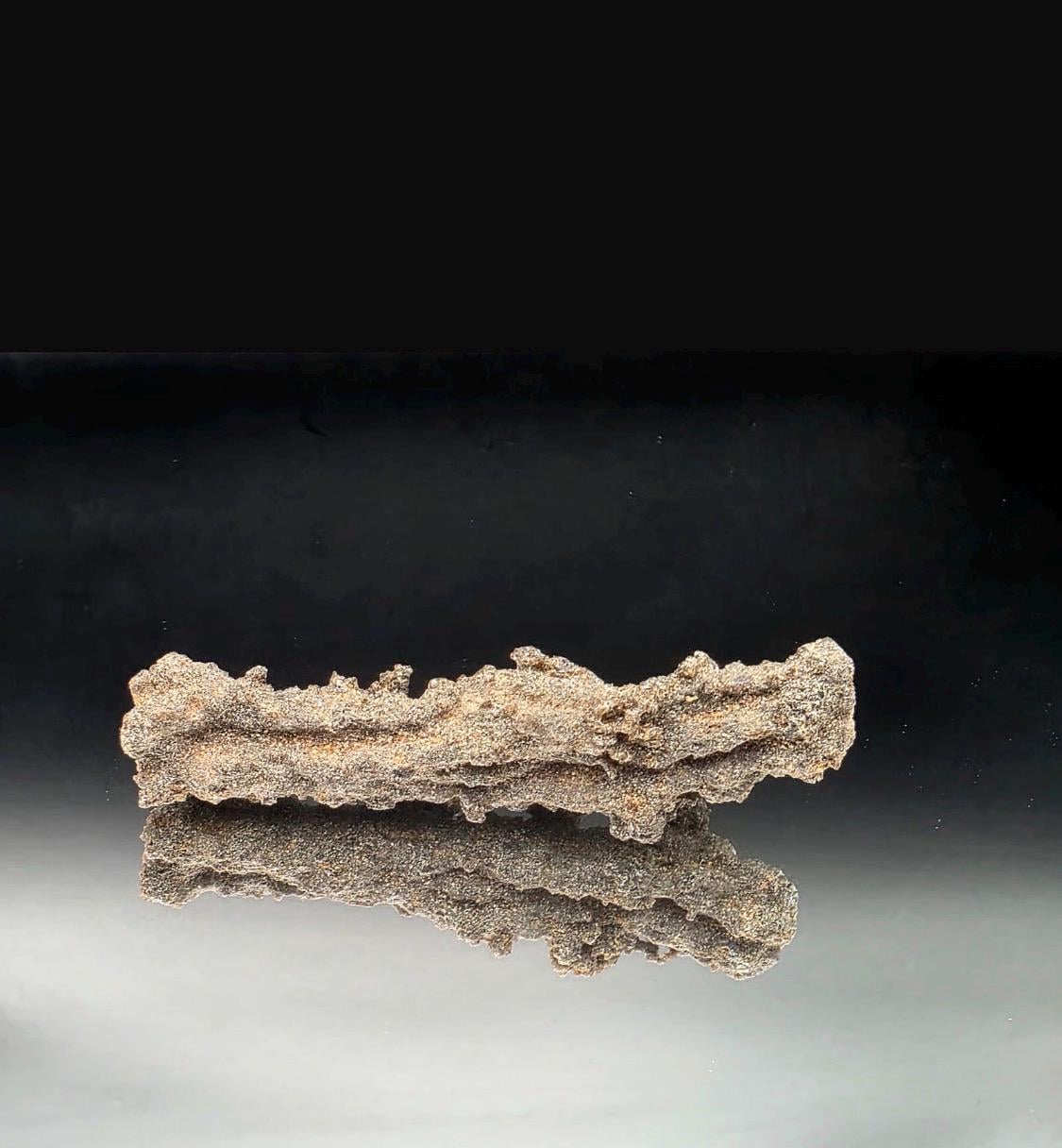Front view of a natural Fulgurite specimen sourced from the Algerian Sahara.