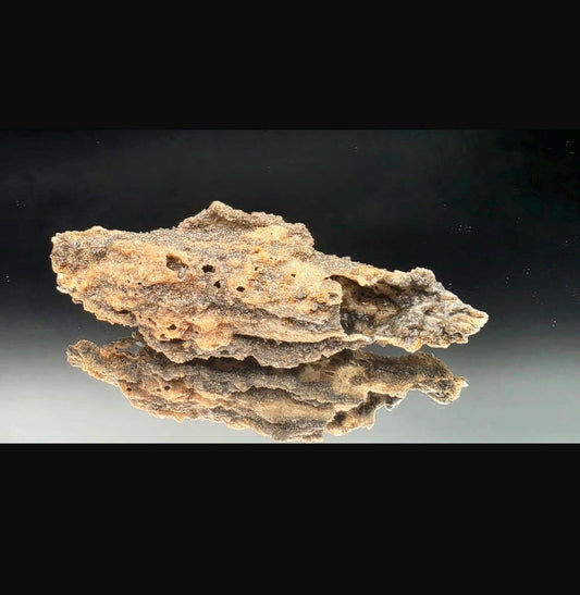 Natural fulgurite specimen from the Algerian Sahara displayed against a black background.