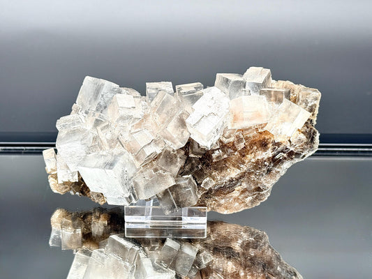 Natural halite crystal collector specimen