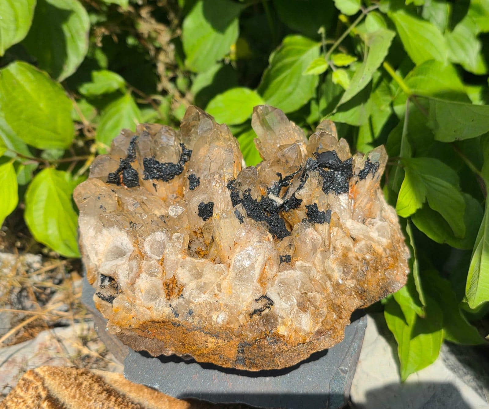 Natural Kundalini Citrine cluster weighing 2.7kg from the Democratic Republic of Congo