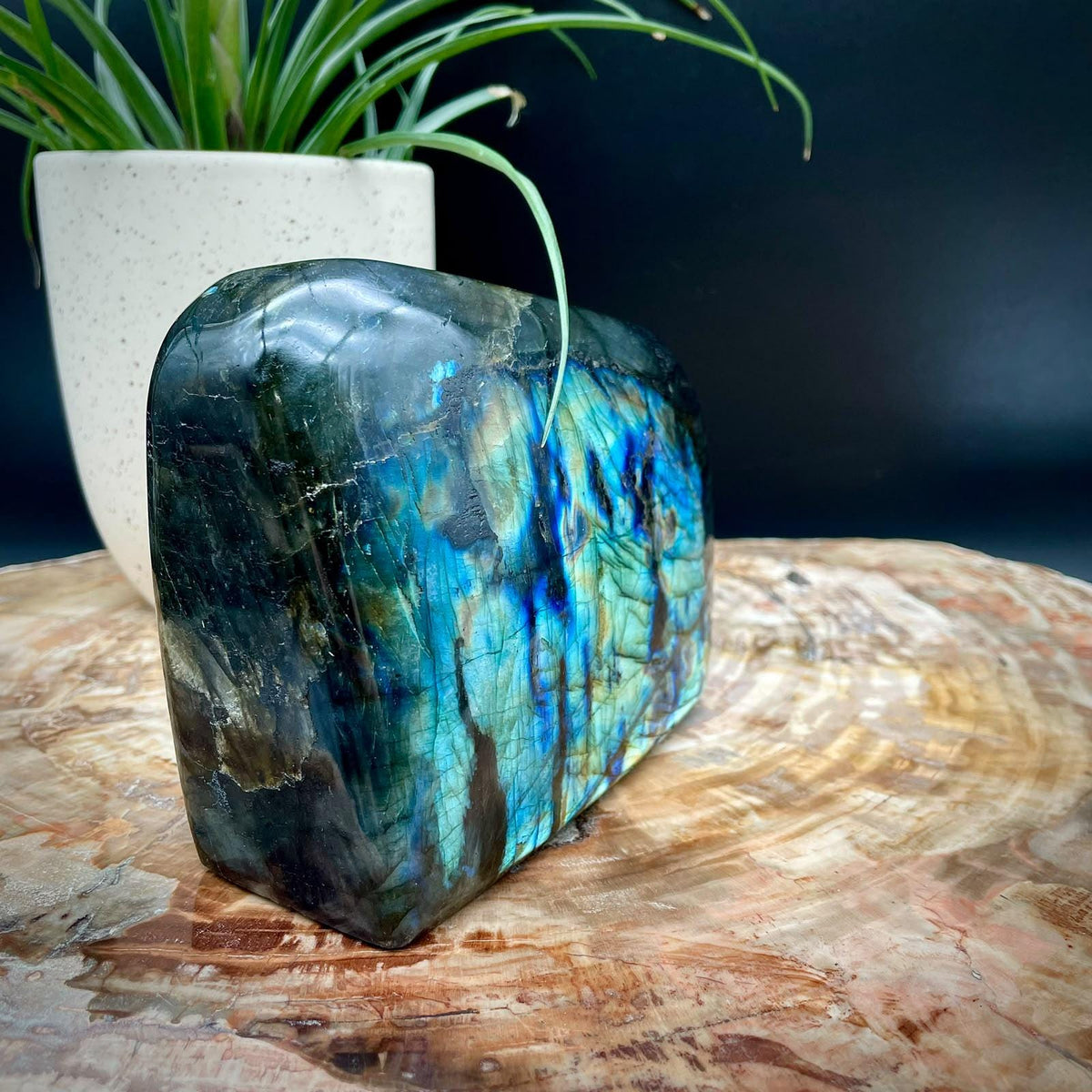 Natural Labradorite crystal freeform