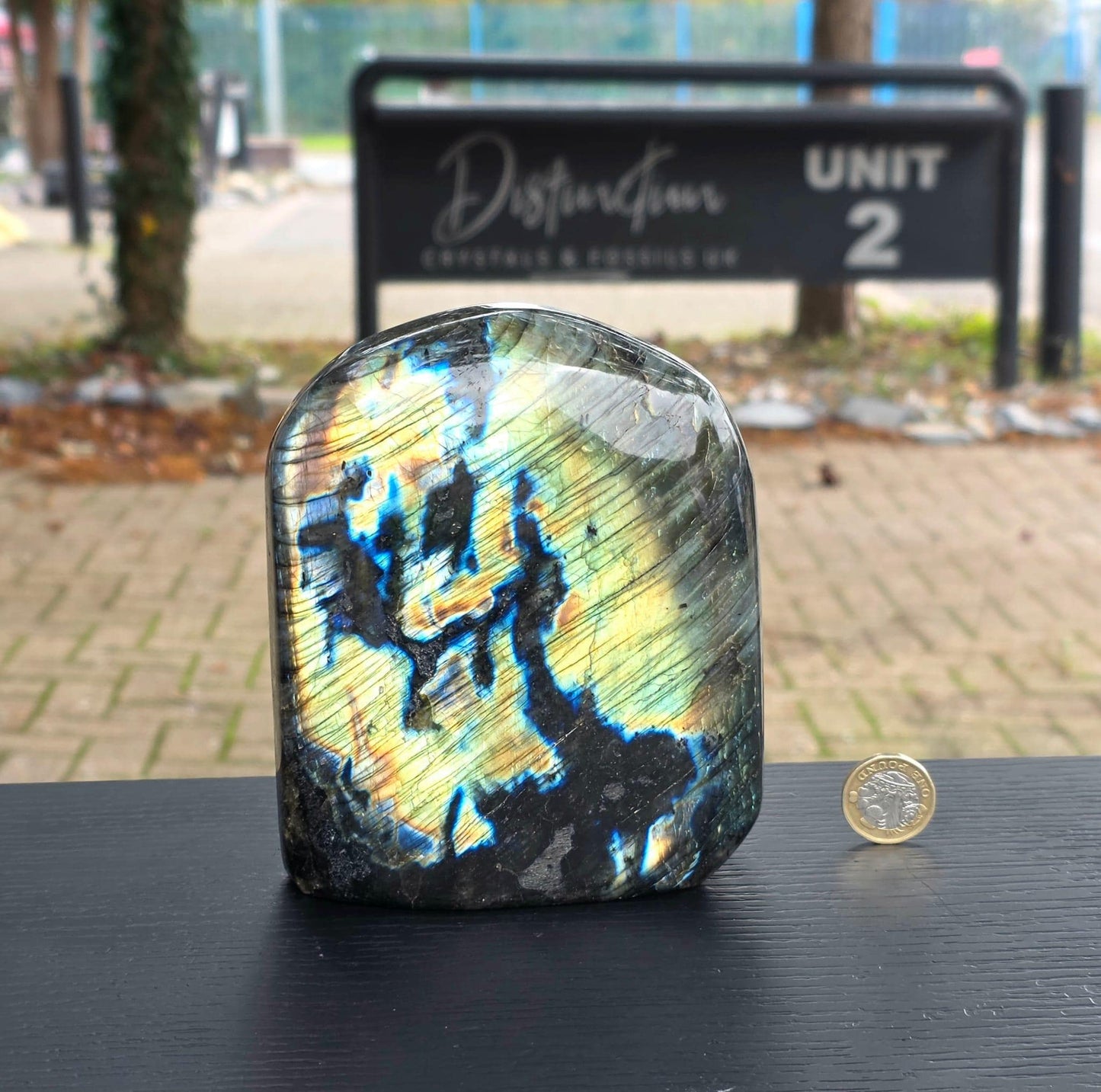 Displayed as collector specimen.