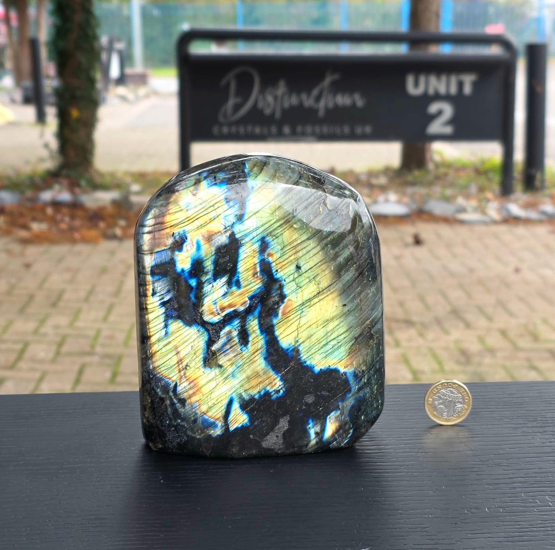 Displayed as collector specimen.