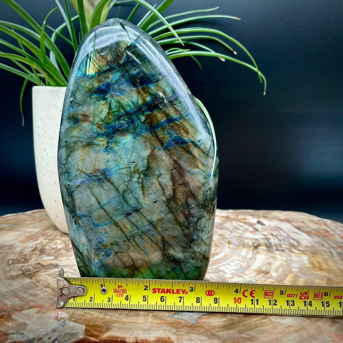 Natural Labradorite feldspar mineral specimen
