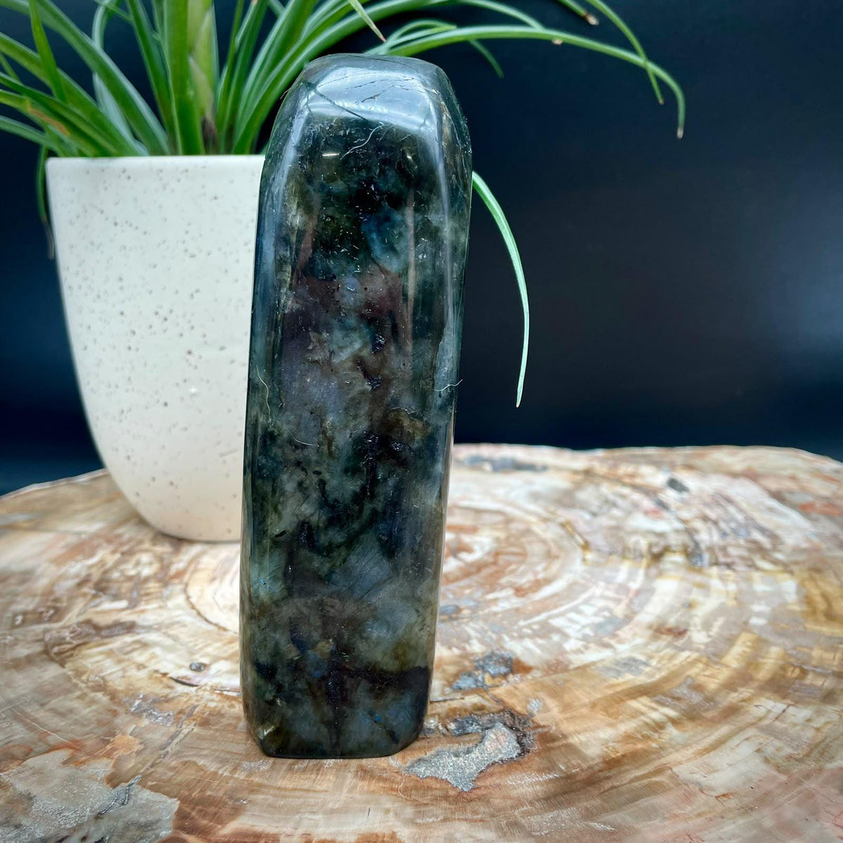 Natural Labradorite statement decor