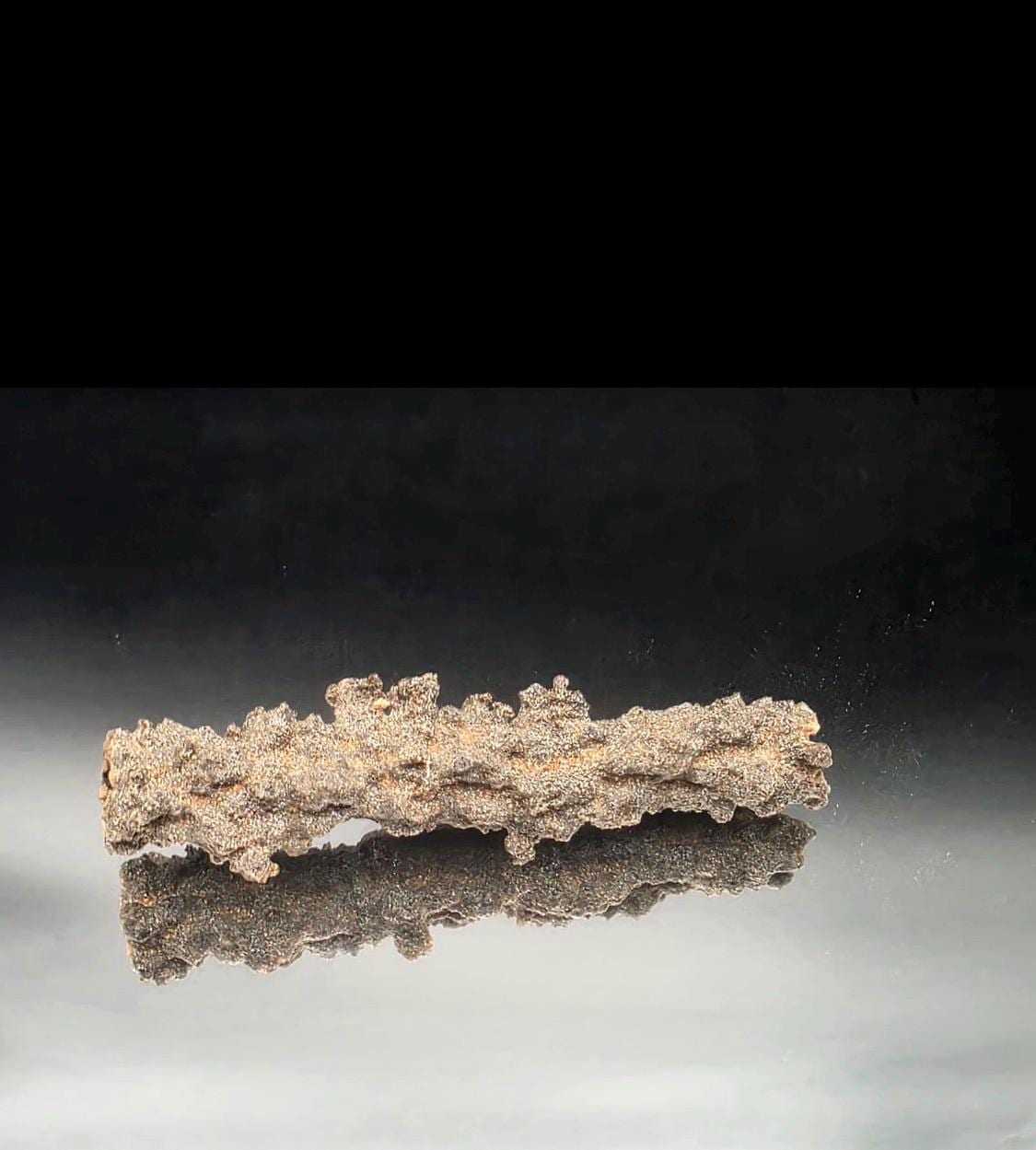 Natural lightning glass specimen formed from sand fused by a lightning strike.