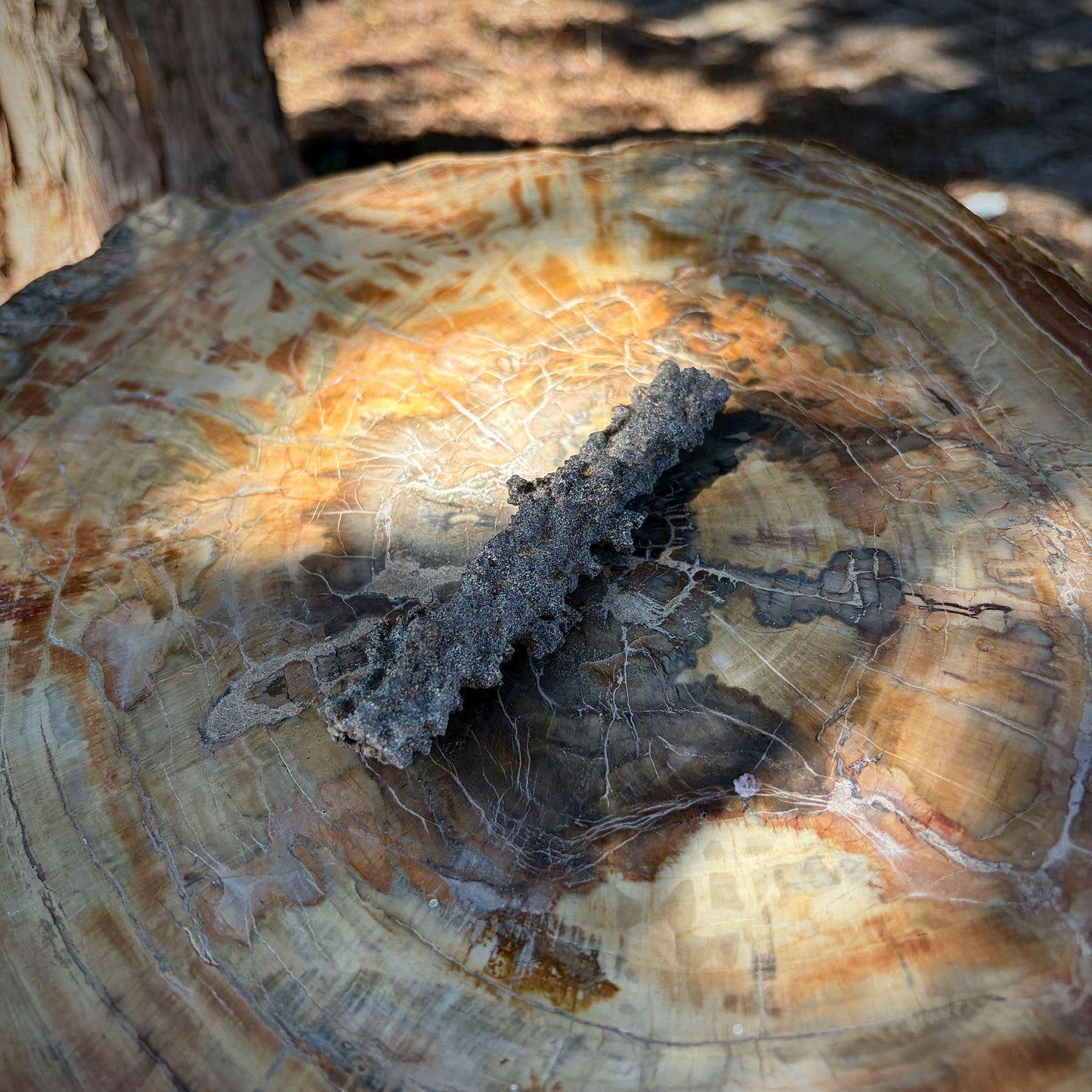 Side view of natural lightning glass sourced from the Algerian Sahara.