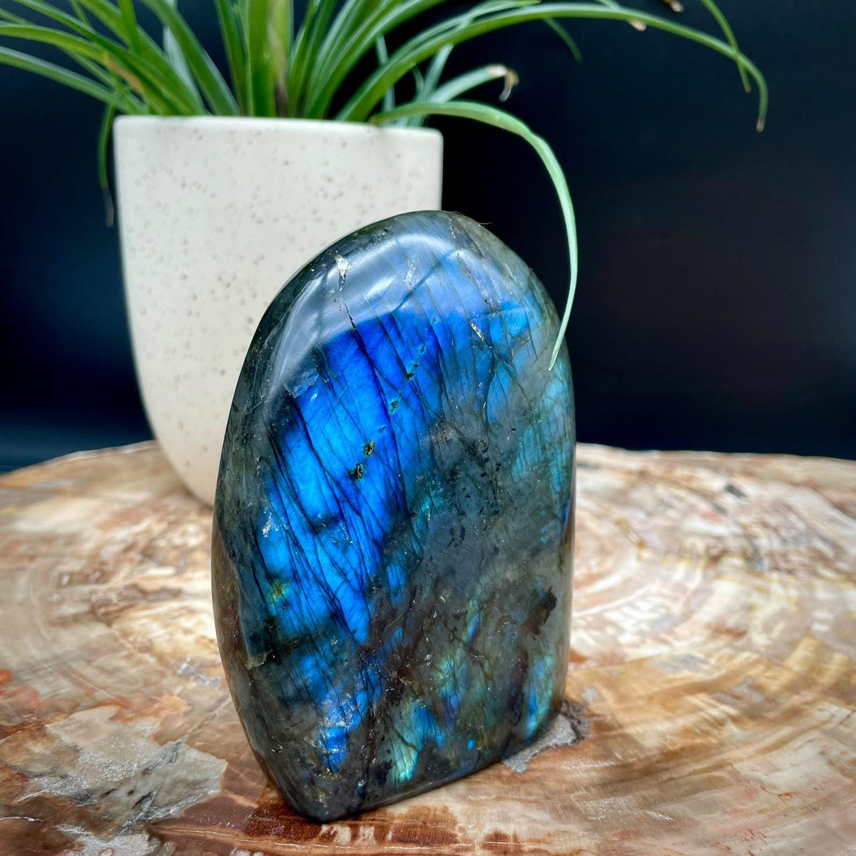 Natural Madagascan Labradorite freeform