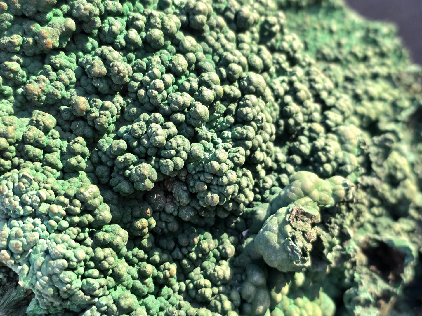 Natural Malachite texture showing layered green tones