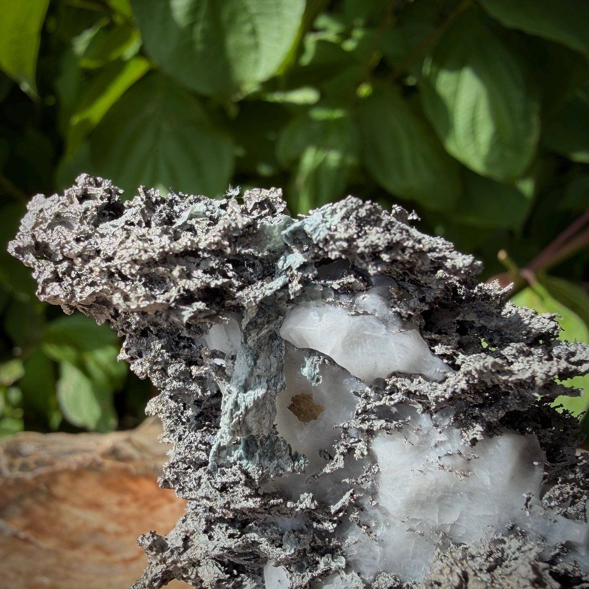Natural metallic Silver geological specimen