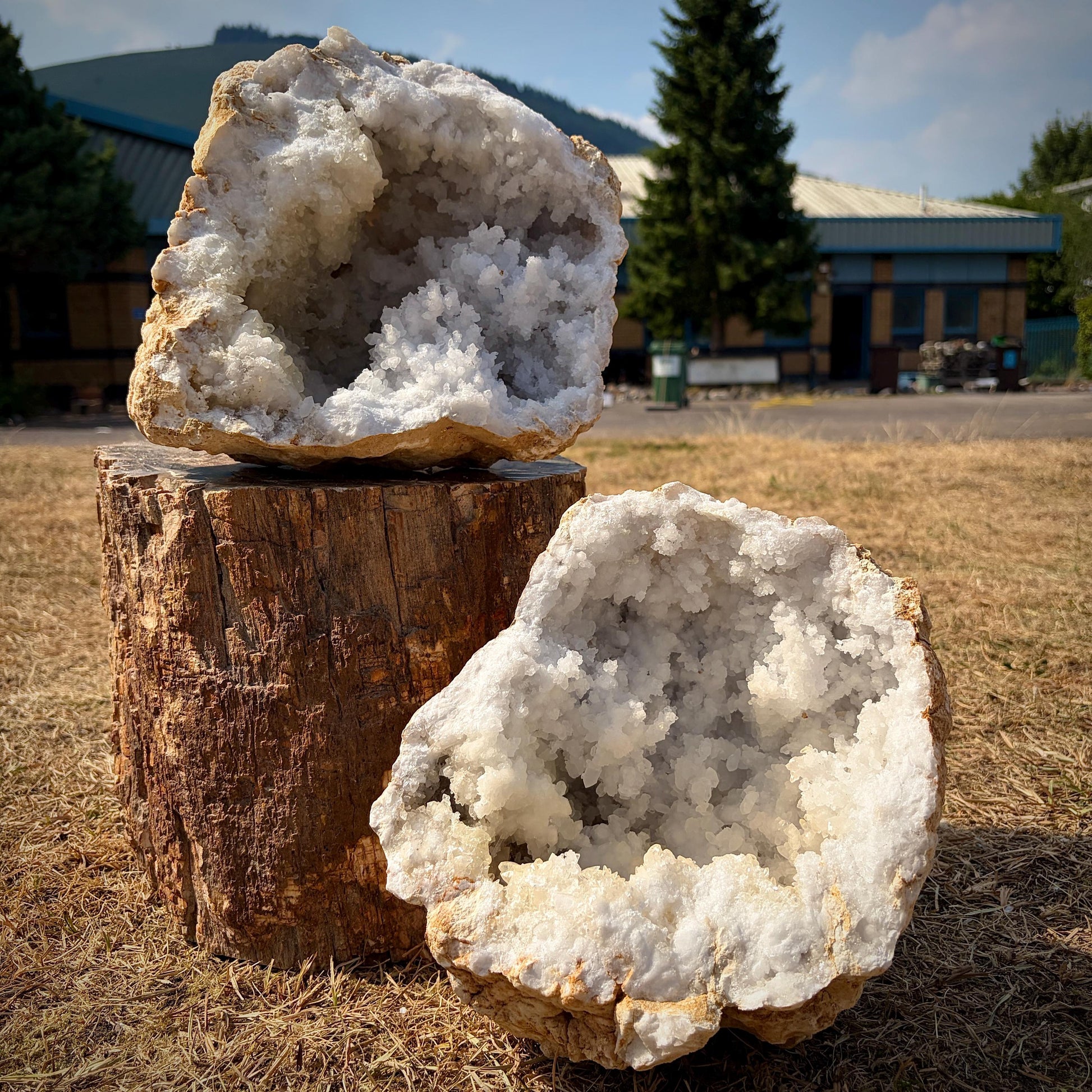 Large natural Quartz Geode displaying bright quartz crystal formations.