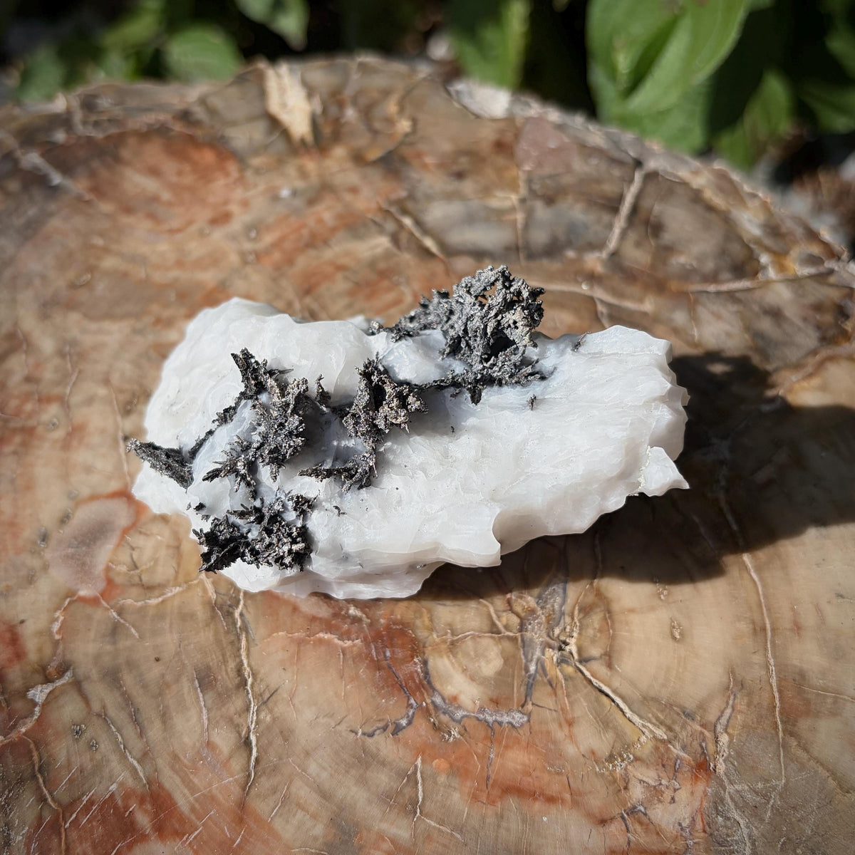 Natural Silver formation on contrasting white Calcite