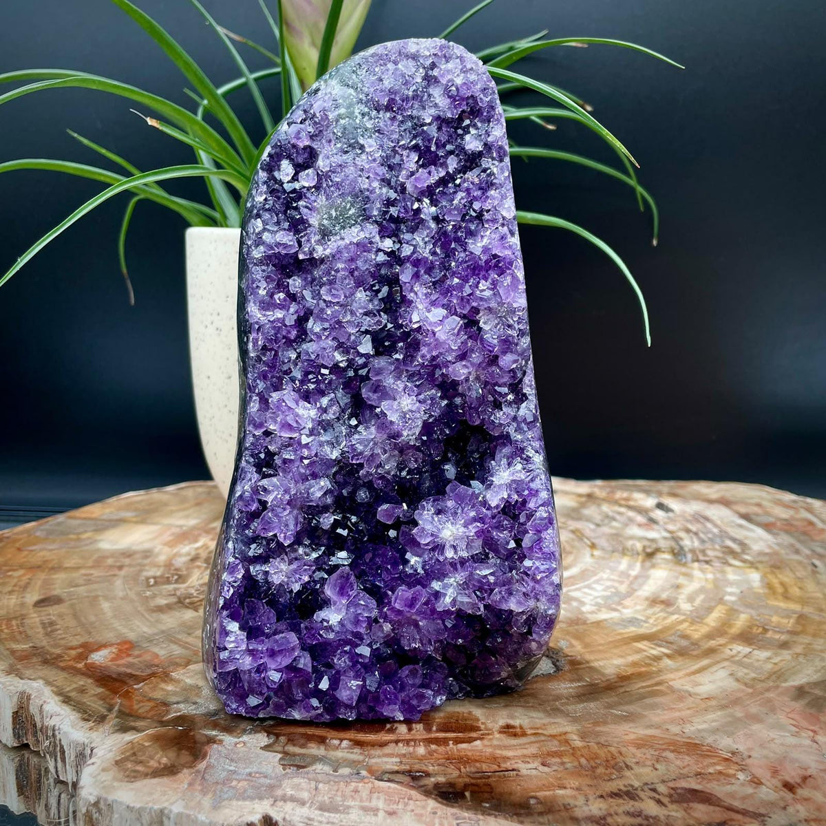 Natural Uruguayan Amethyst cut base