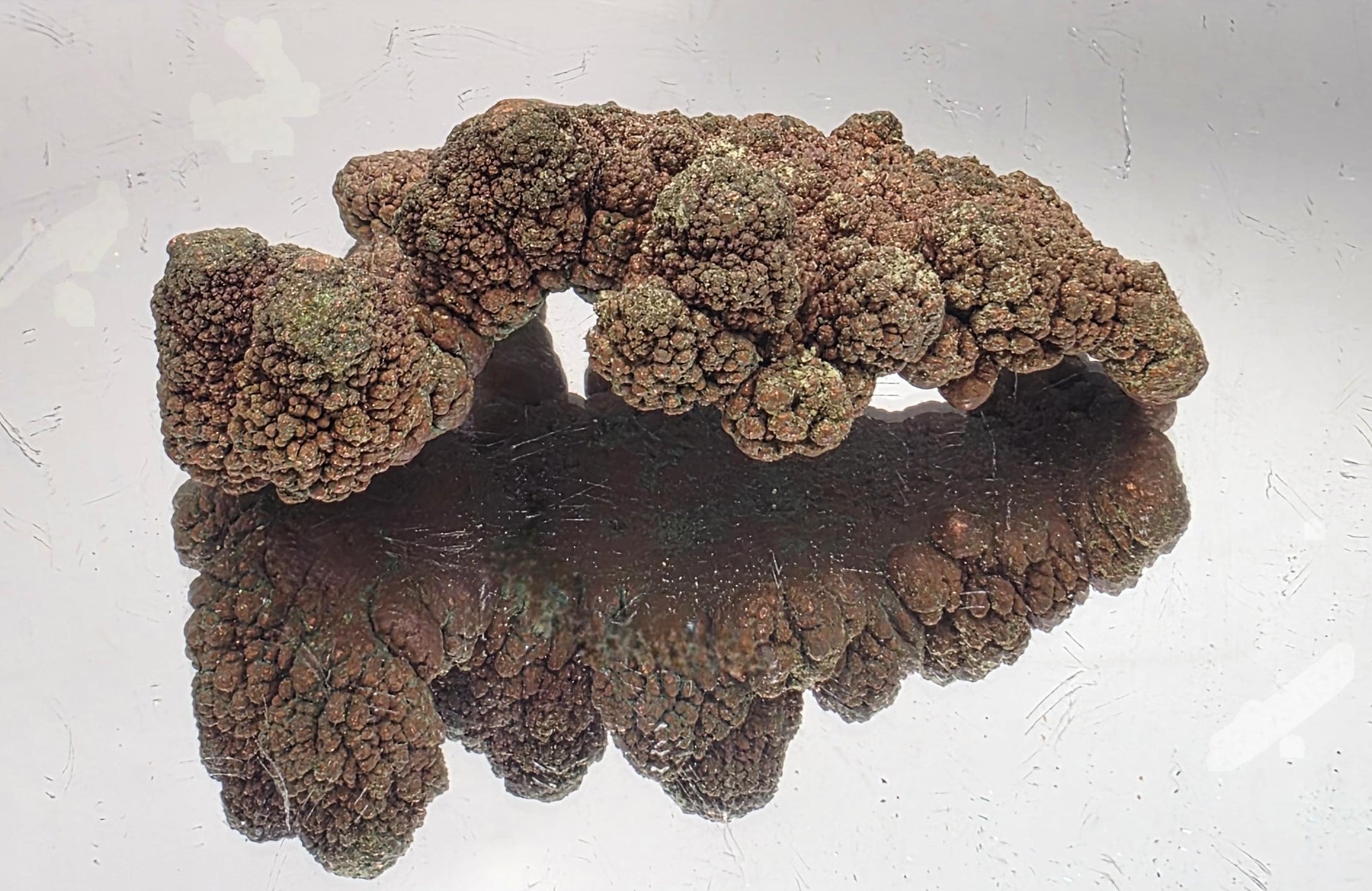 Natural raw copper nugget crystal showing metallic shine, perfect mineral display piece.