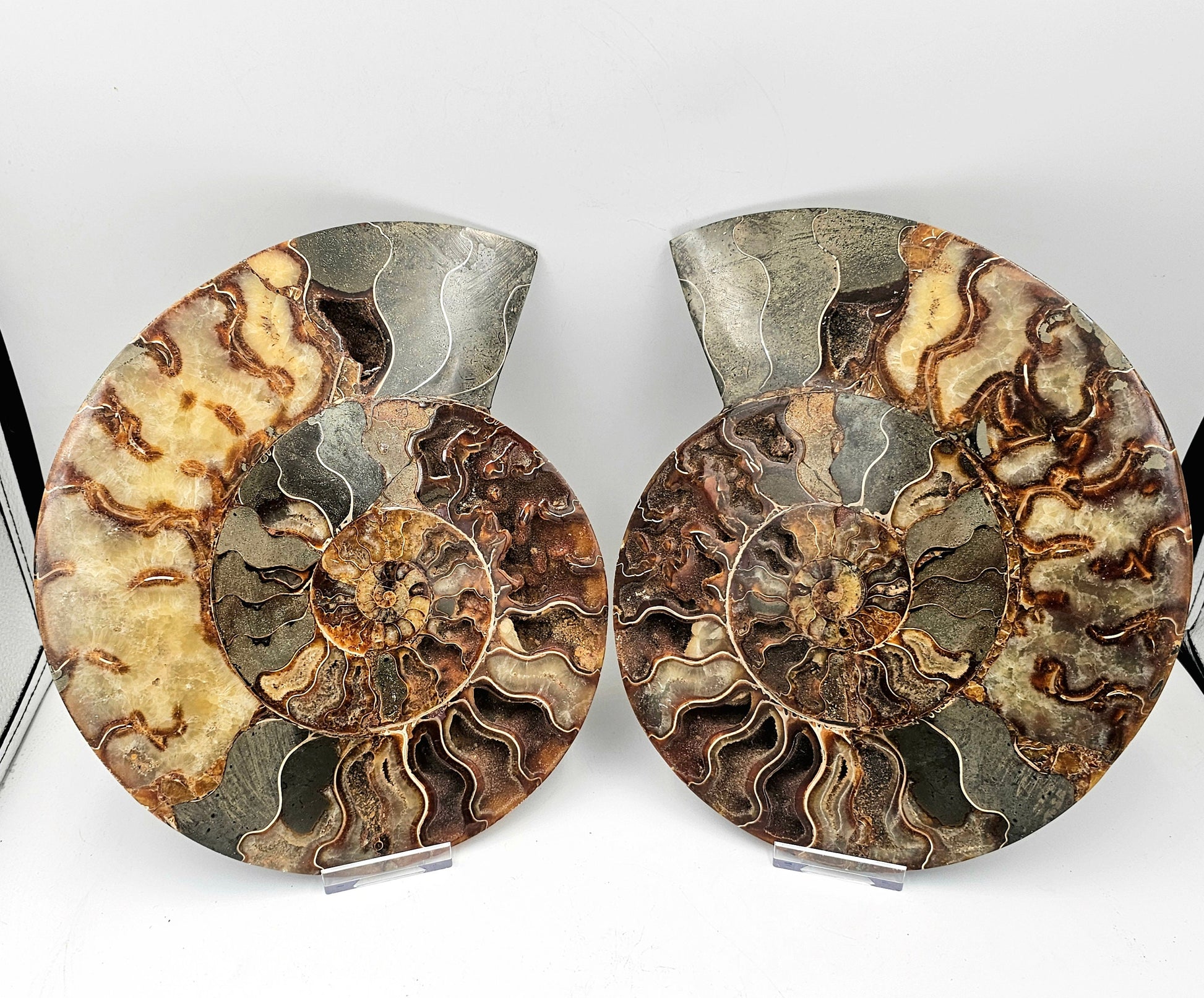 natural home decor interior design ammonite