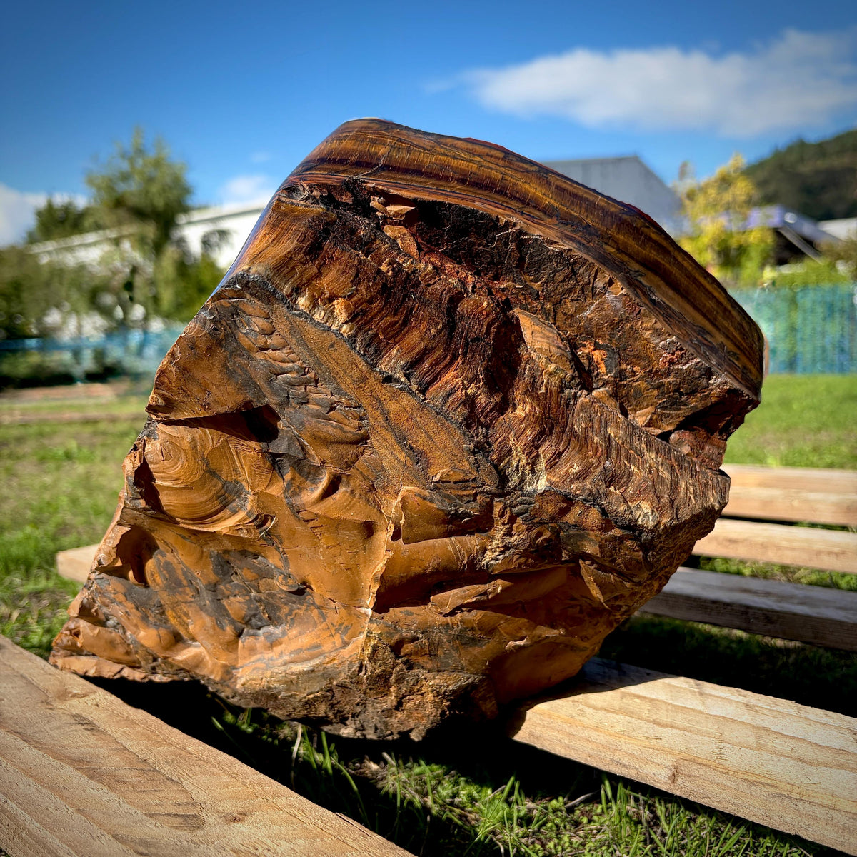 One-of-a-kind XL Tigers Eye natural mineral specimen