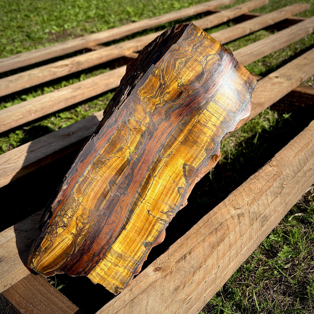 Part polished Tigers Eye crystal revealing natural banding