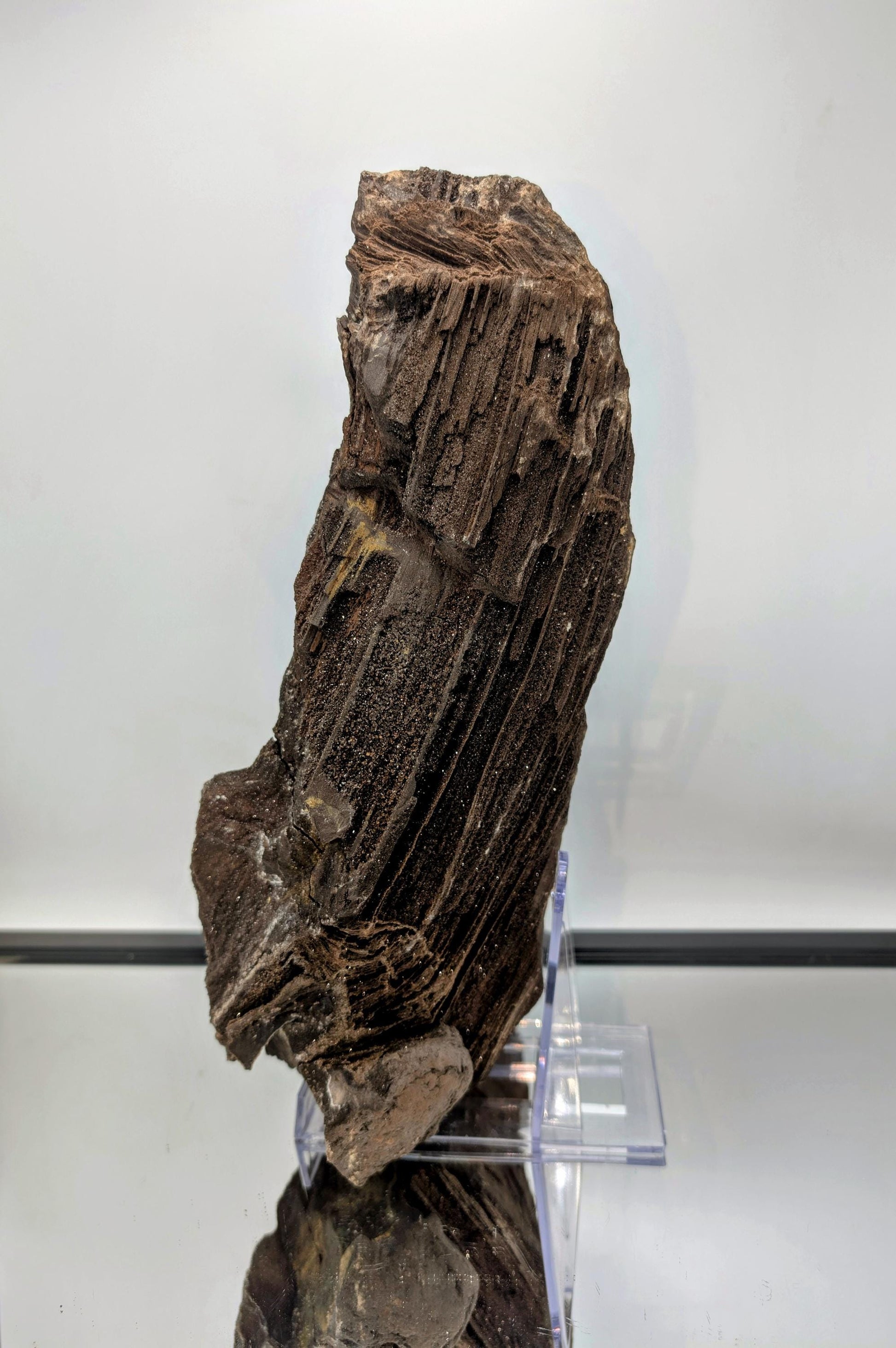 Collector’s permineralized wood with natural quartz druzy.
