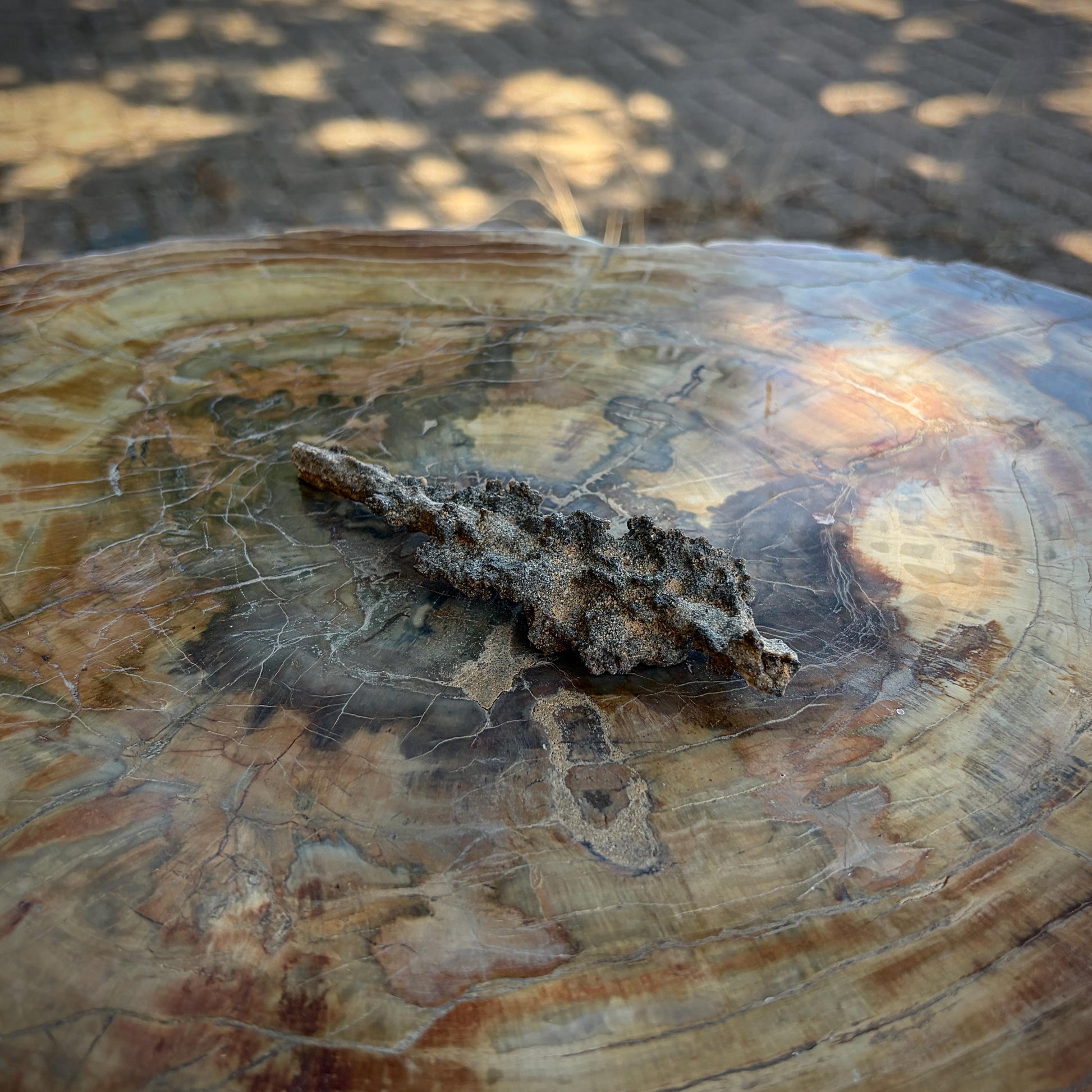 Detailed view of an Algerian Fulgurite preserving the path of a lightning strike.