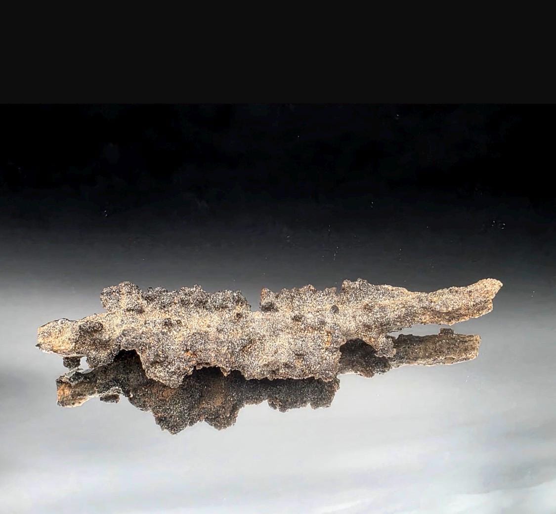Natural Petrified Lightning Fulgurite formed from fused desert sand in Algeria.