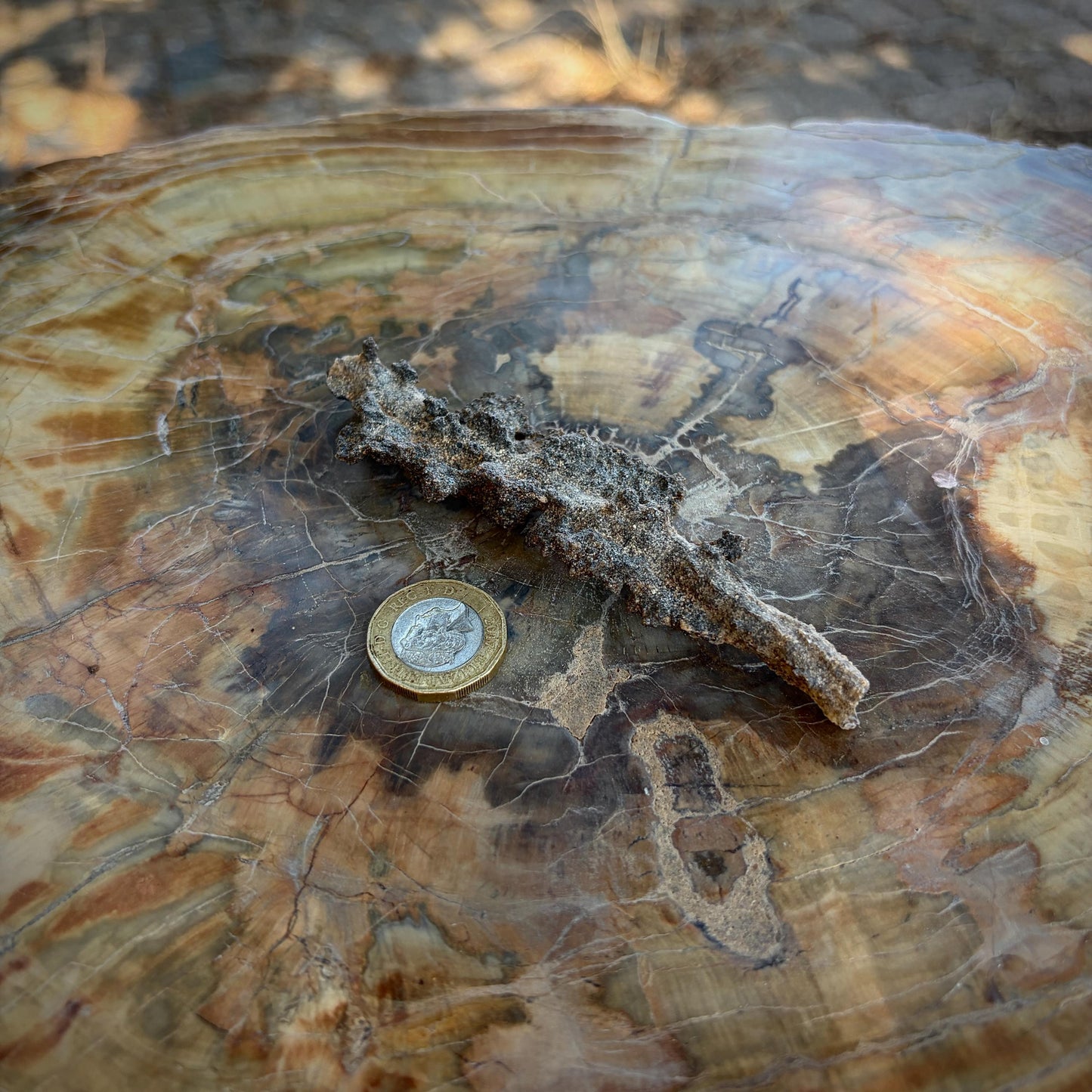 Side view of an Algerian Fulgurite showing its naturally elongated formation.