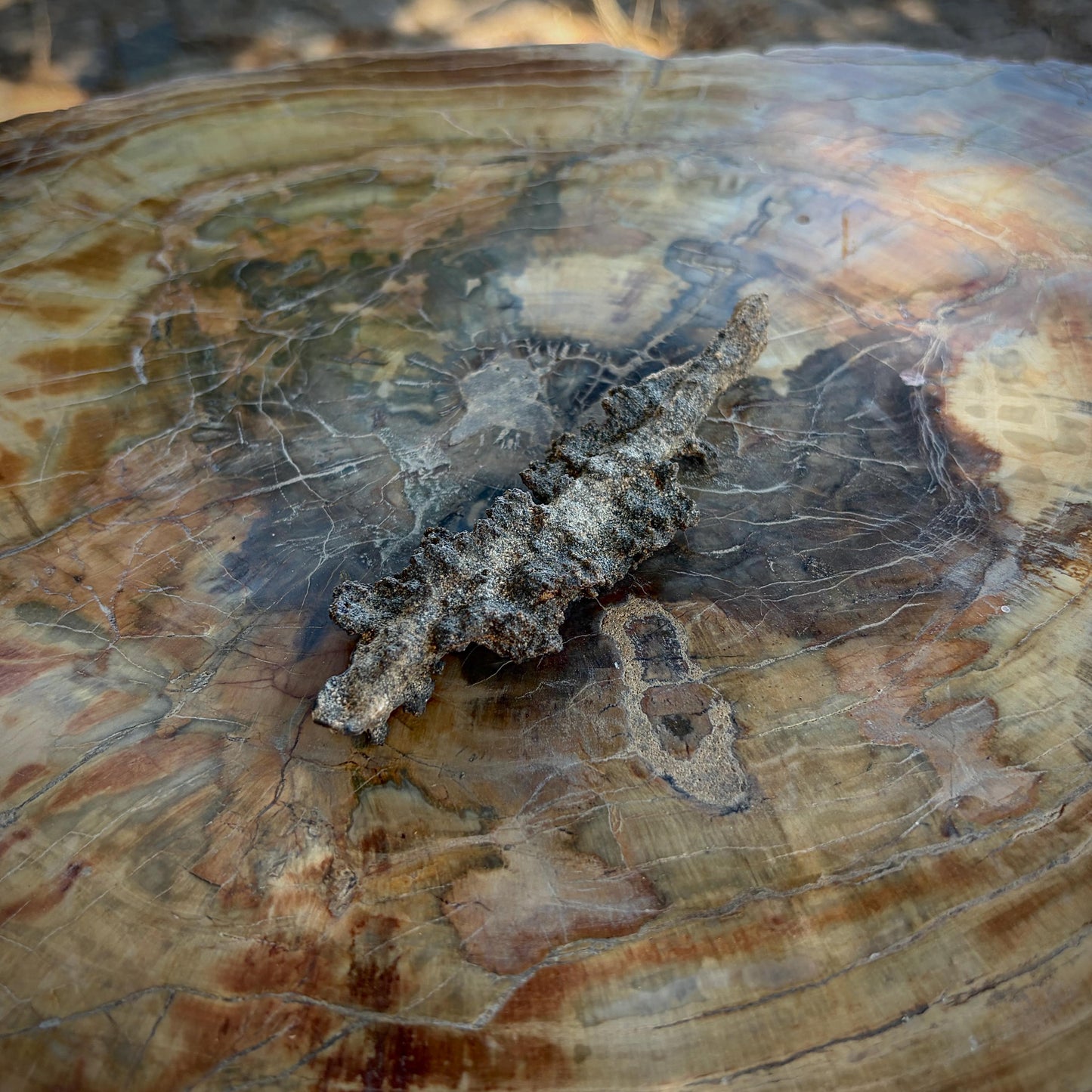 Close-up of the fused sandy texture of a natural Petrified Lightning specimen.