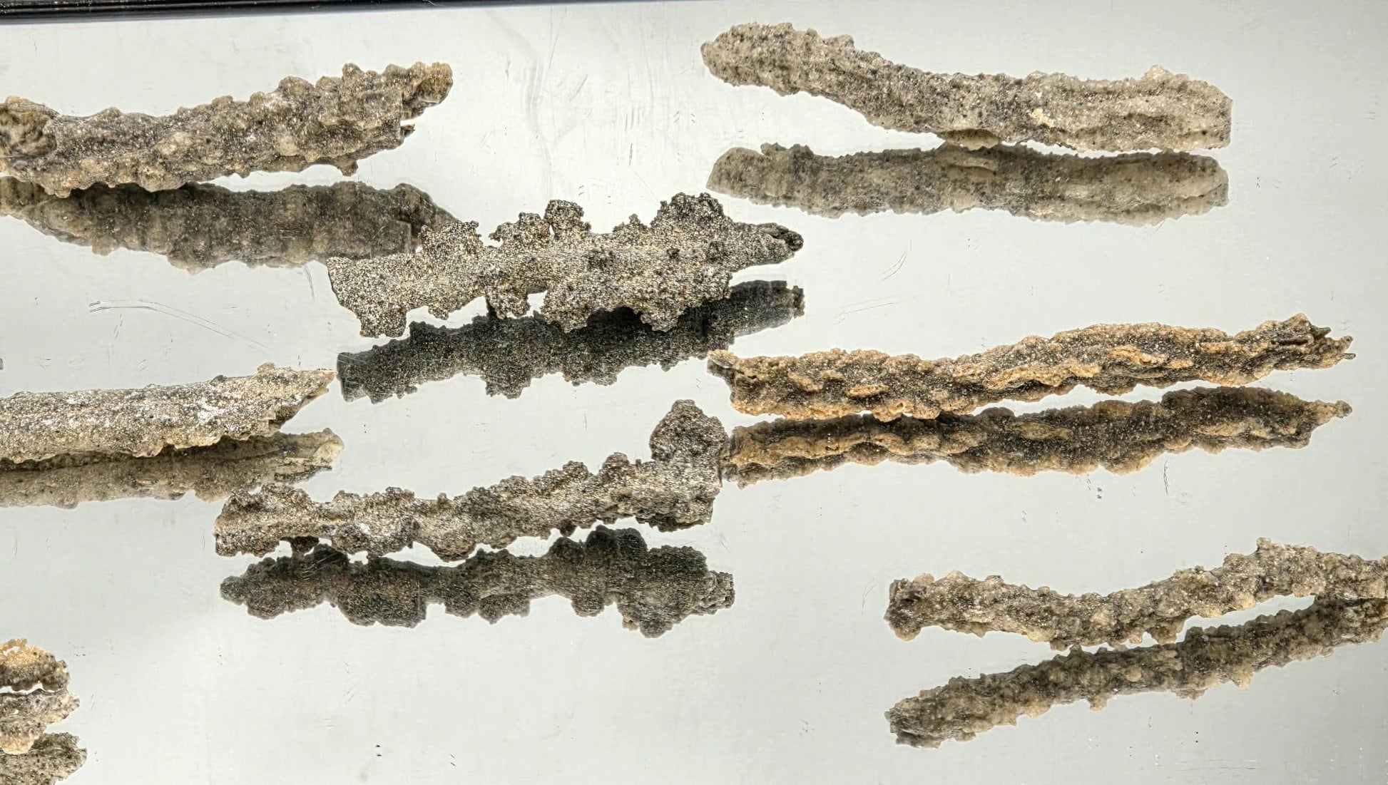 Petrified lightning Fulgurite specimen showing glassy texture