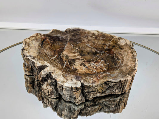 Large petrified wood bowl from Madagascar