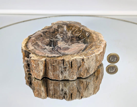 Beautiful petrified wood centerpiece bowl